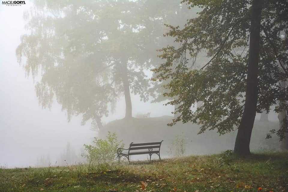 Świerklaniecki Park we mgle