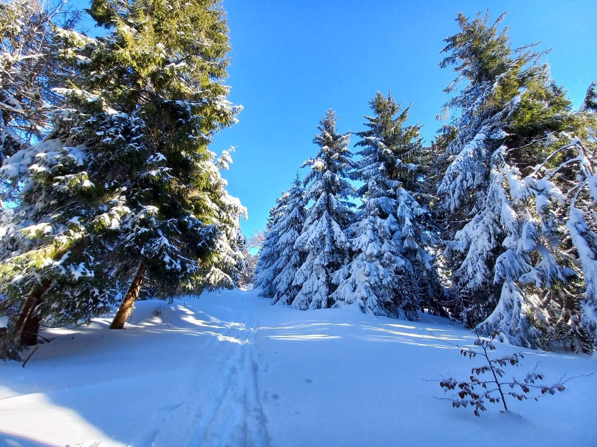 Beskid Zywiecki Zima