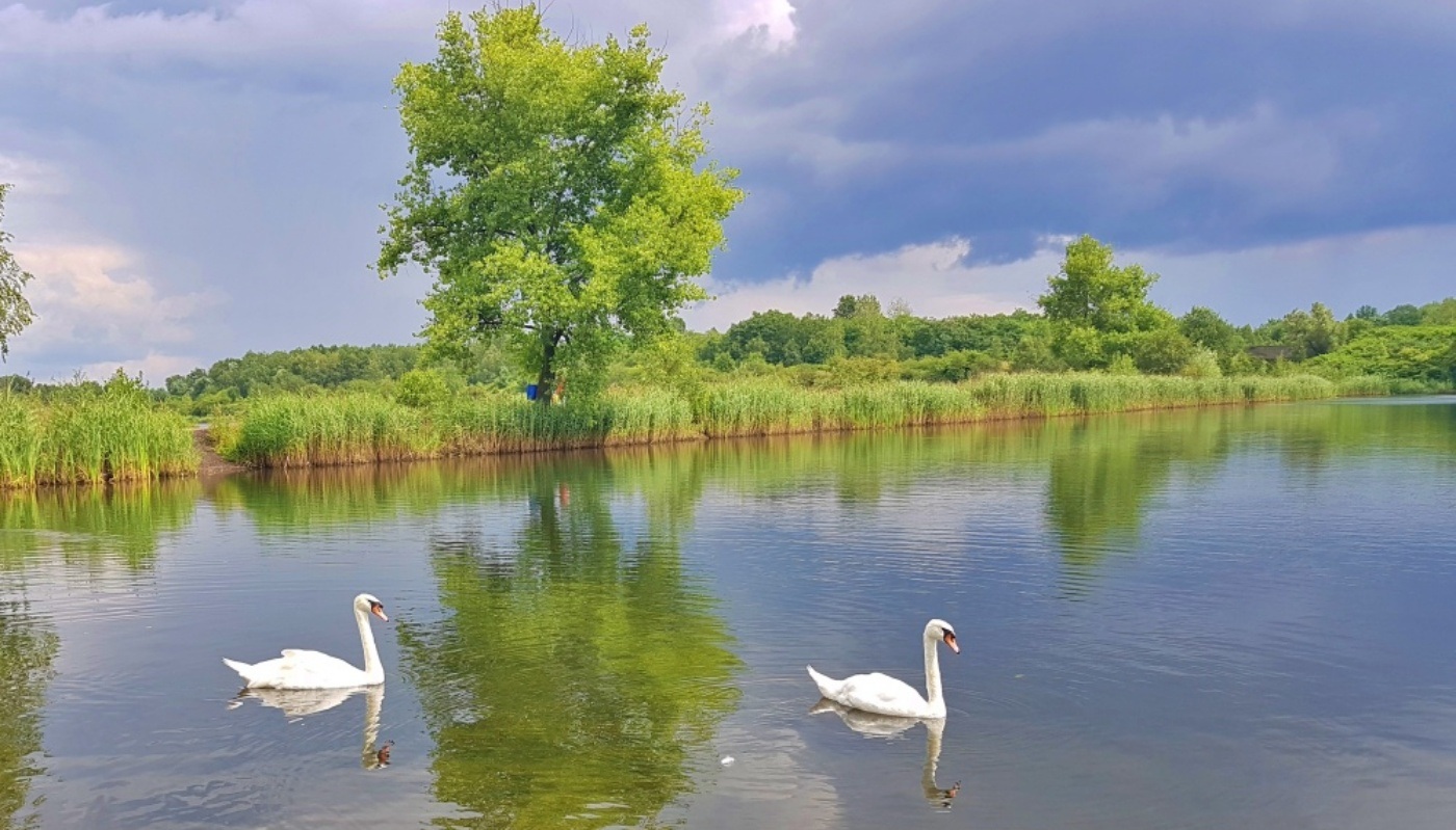 Żabie Doły