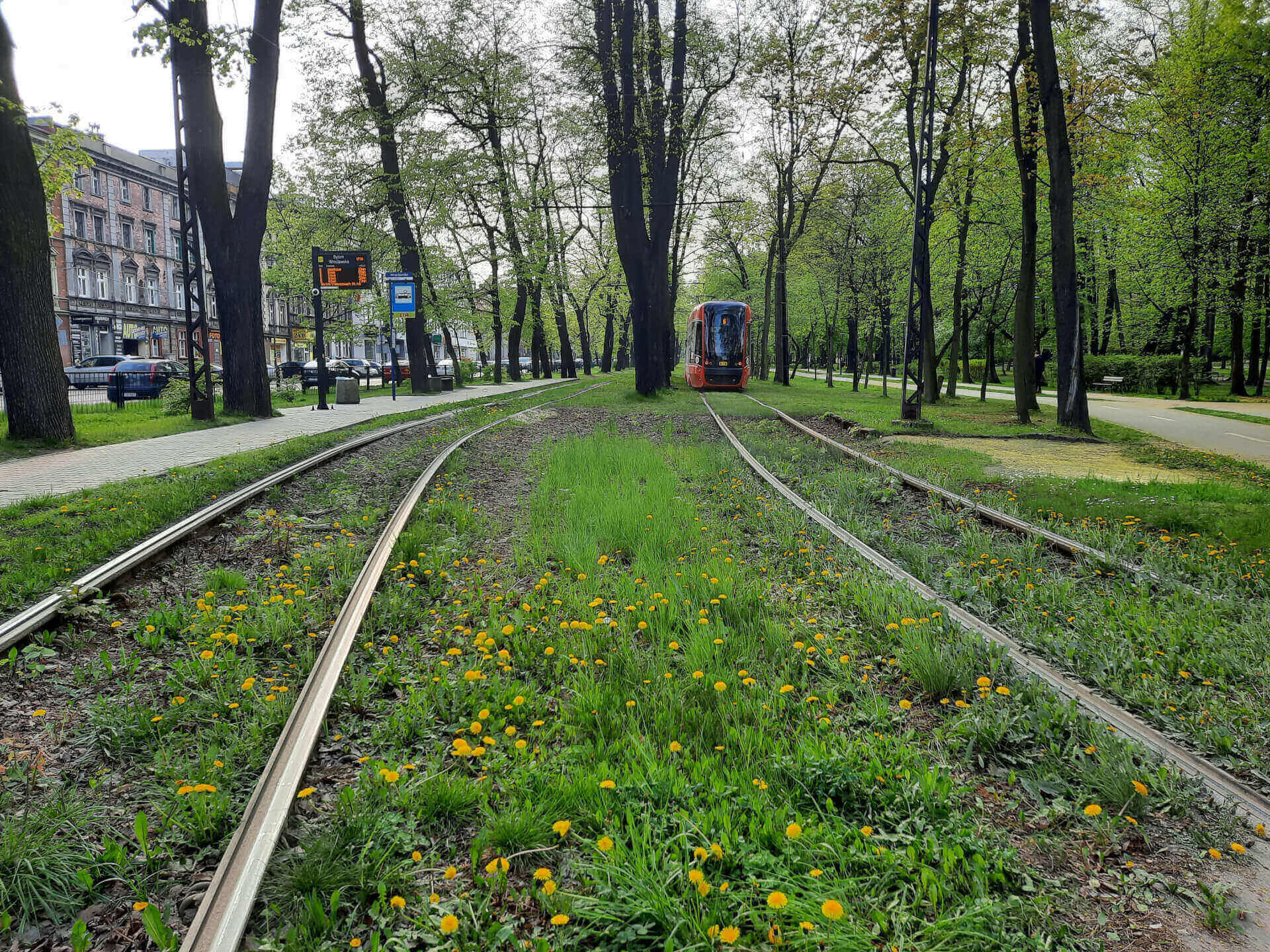 Tramwaj w Parku Miejskim