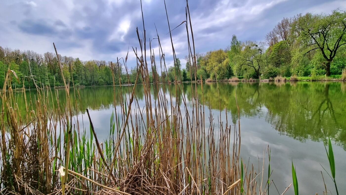 Chorzów Dolina Górnika