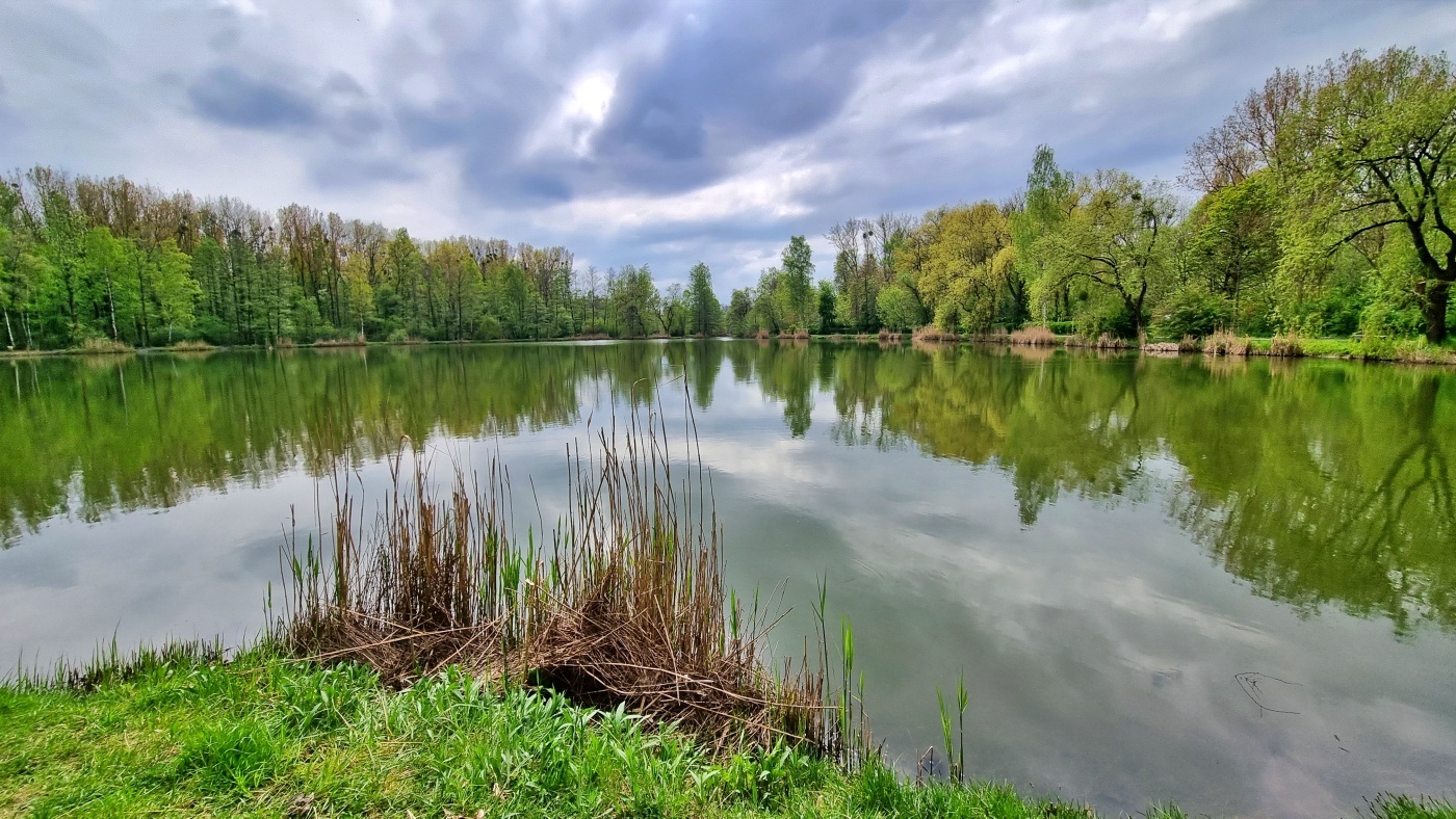 Chorzów Dolina Górnika