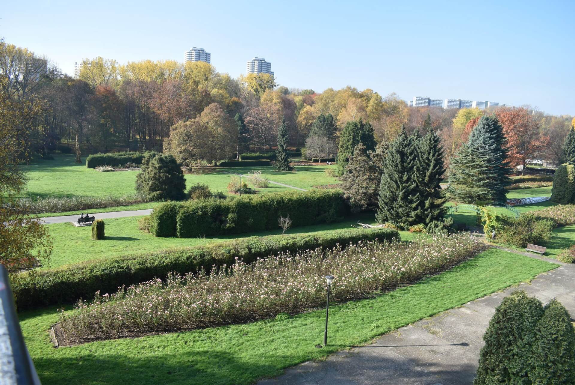 Elka Park Śląski widok 10