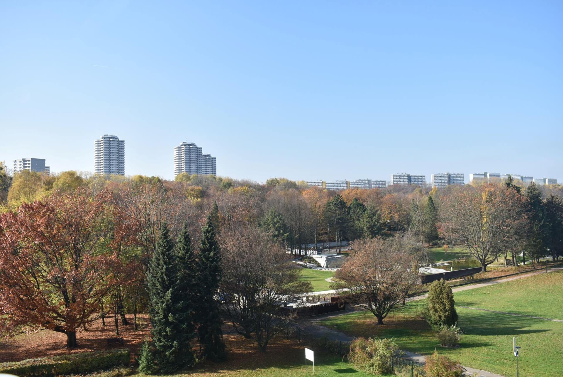 Elka Park Śląski widok 11