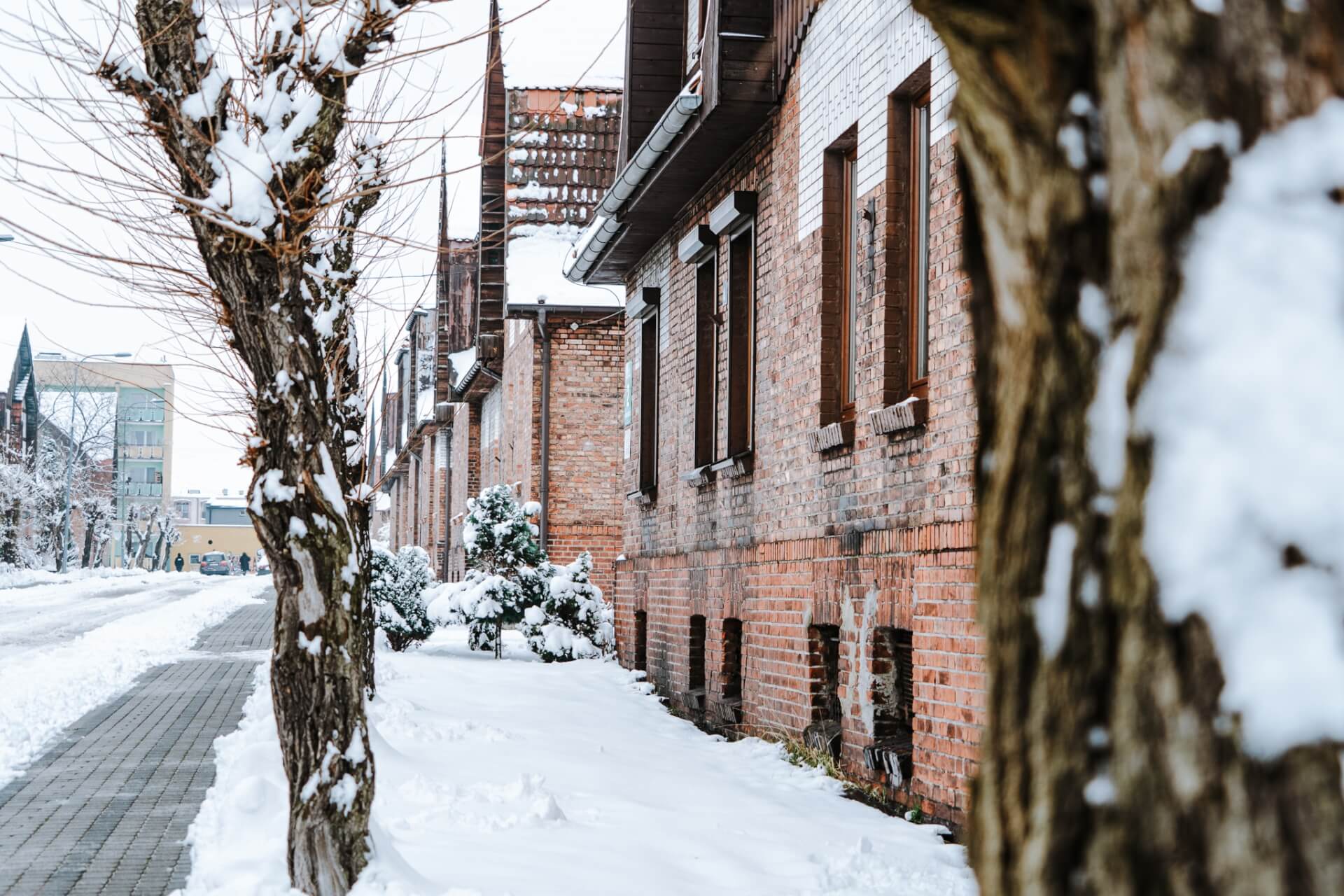 Familoki Czerwionka Leszczyny 13