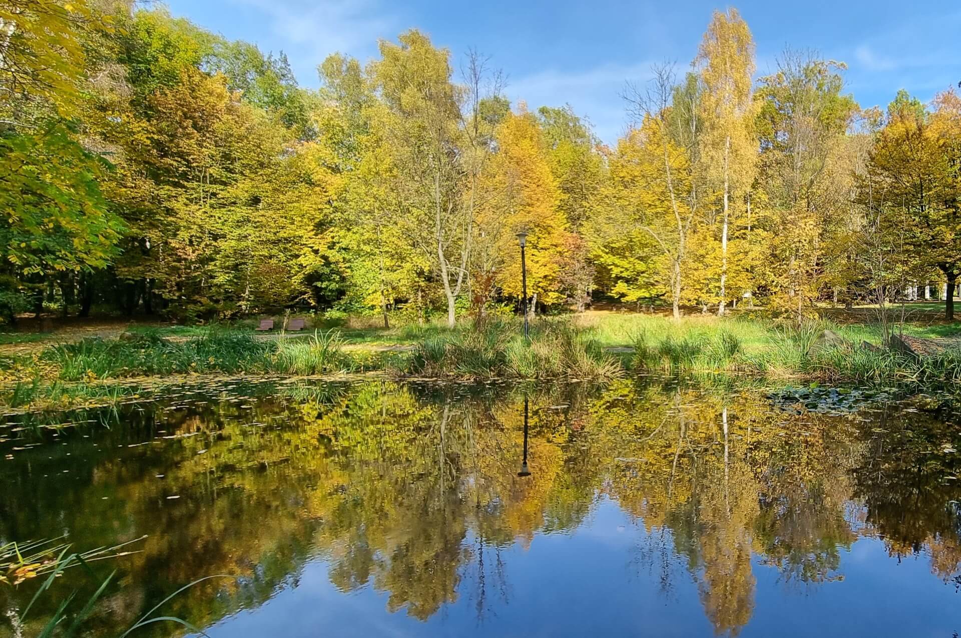 Gorączka złota w Parku Śląskim