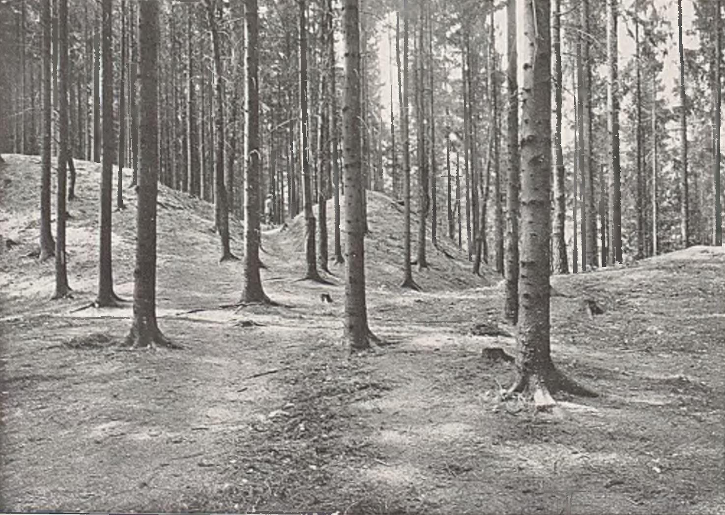 Grodziska i zamczyska śląskie