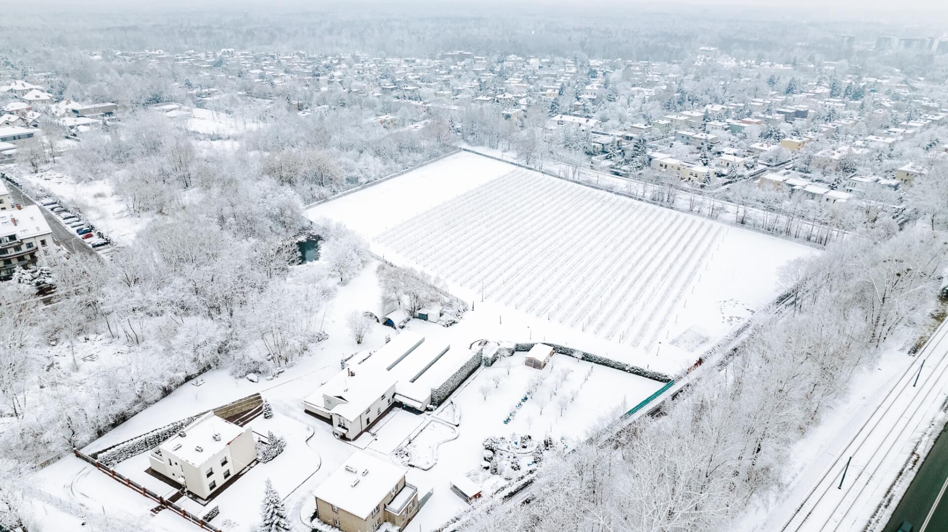 Katowice zima styczeń 2023 10