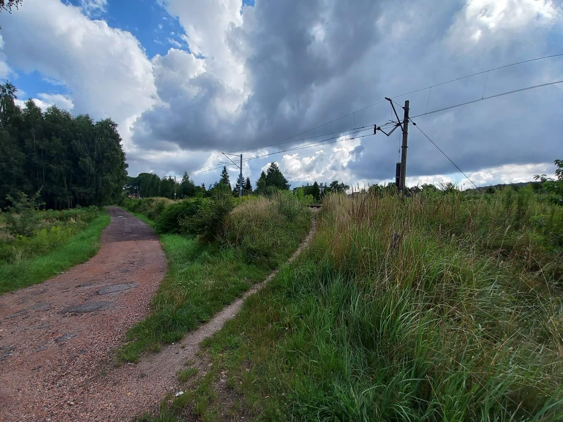 Leśne Pogotowie Mikołów Tory przy ośrodku