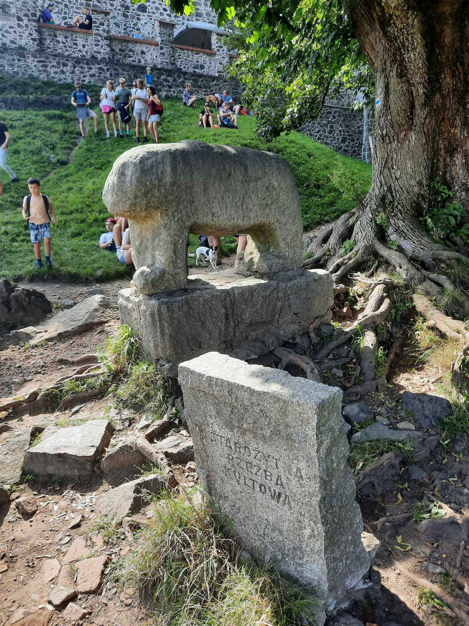 Na górze Ślęży, wrzesień 2023