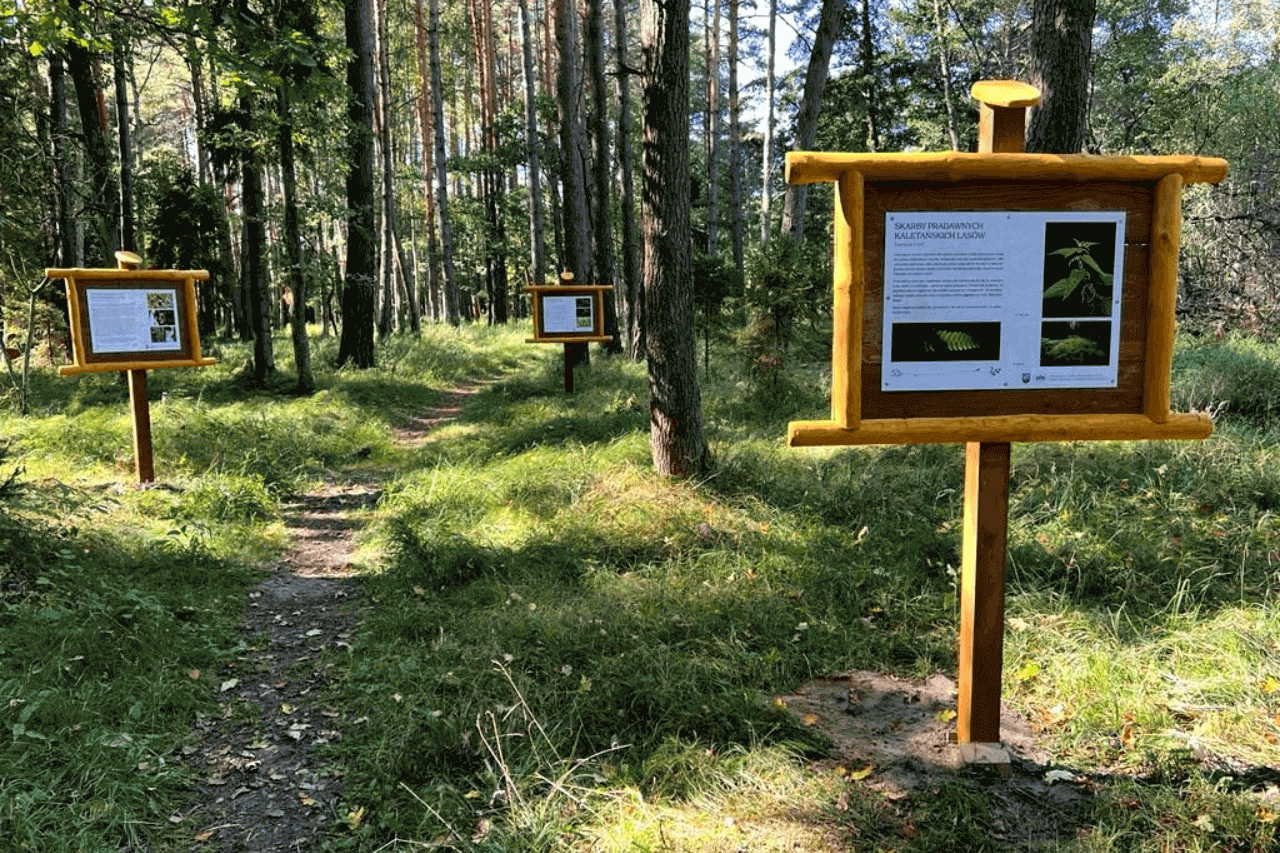 Nowa atrakcja turystyczna w Kaletach 1