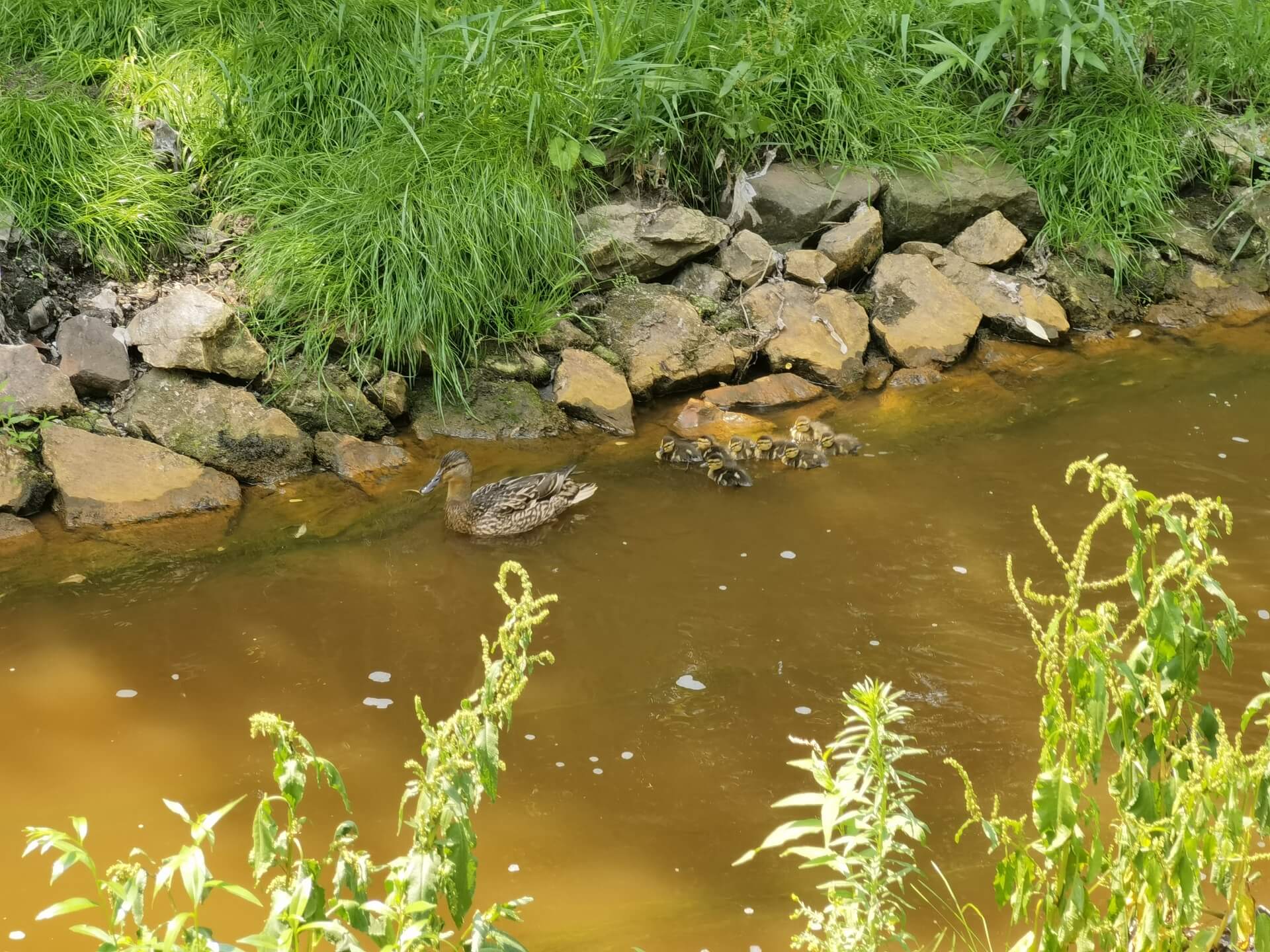 Osiedle Tysiąclecia