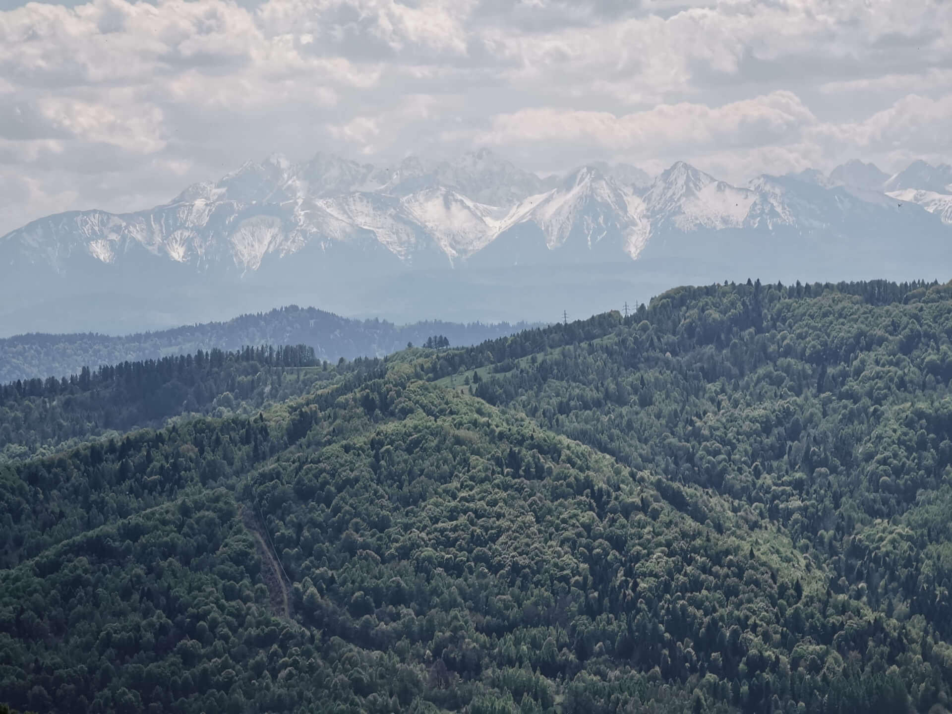 Panarama Tatr w drodze na Koziarz