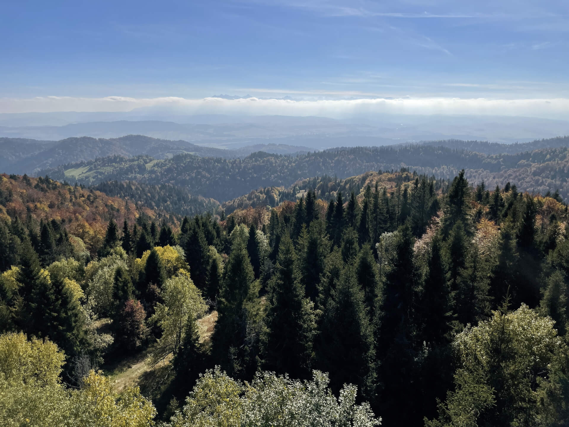 Panorama Tatr z wieży na Magurkach