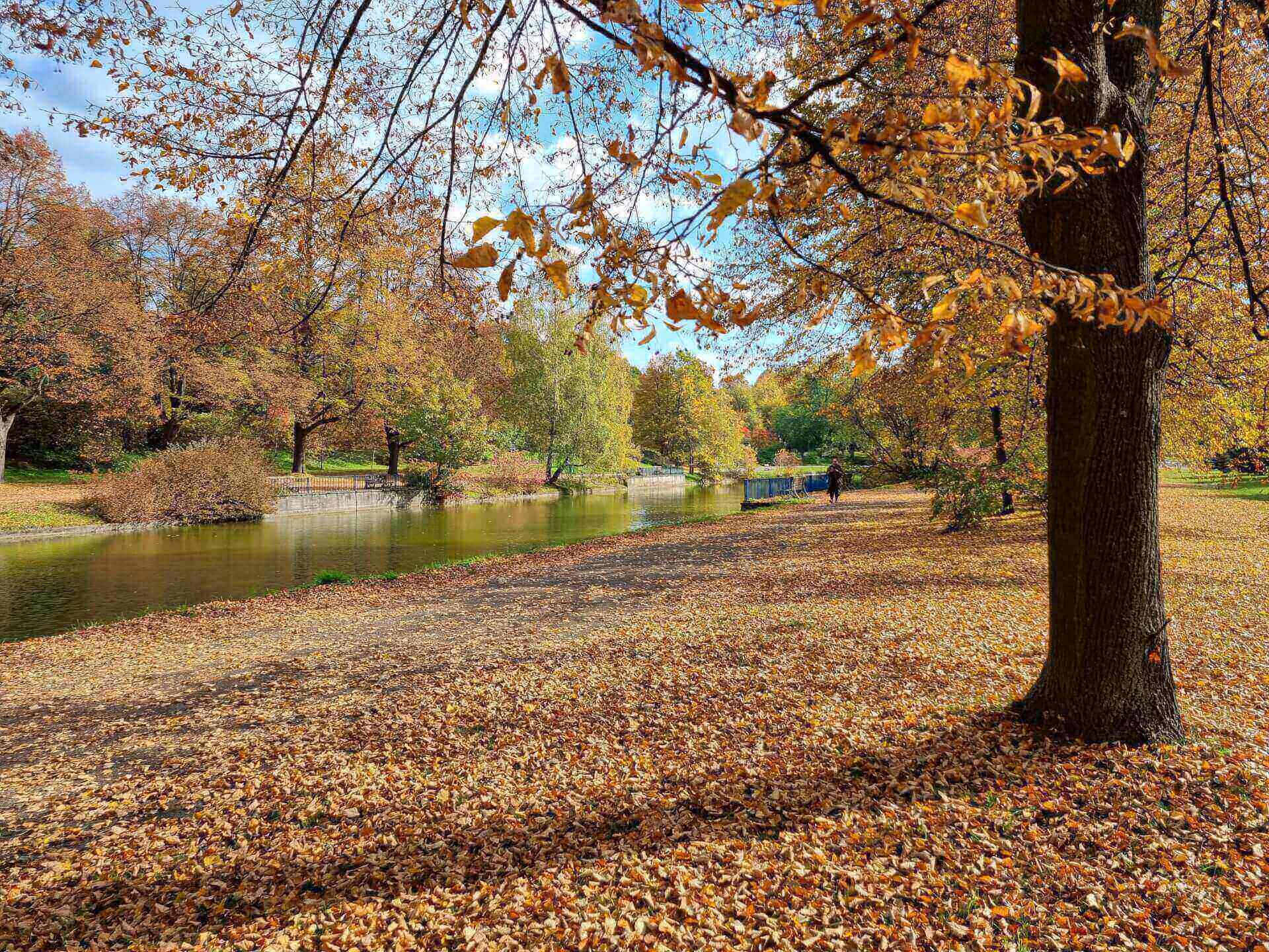 Park Śląski jesienią