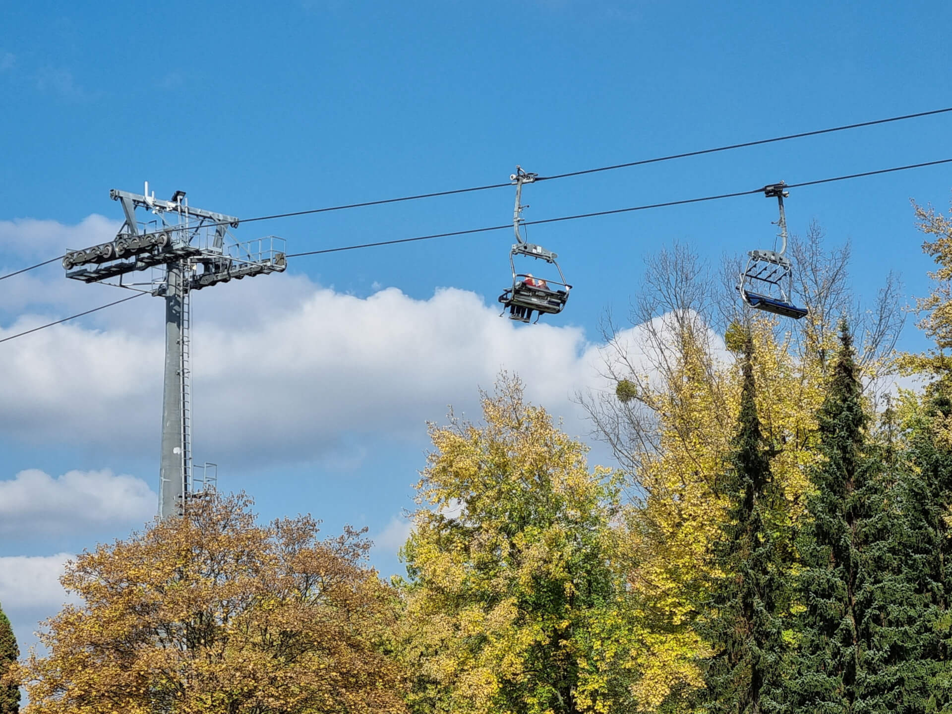 Park Śląski jesienią