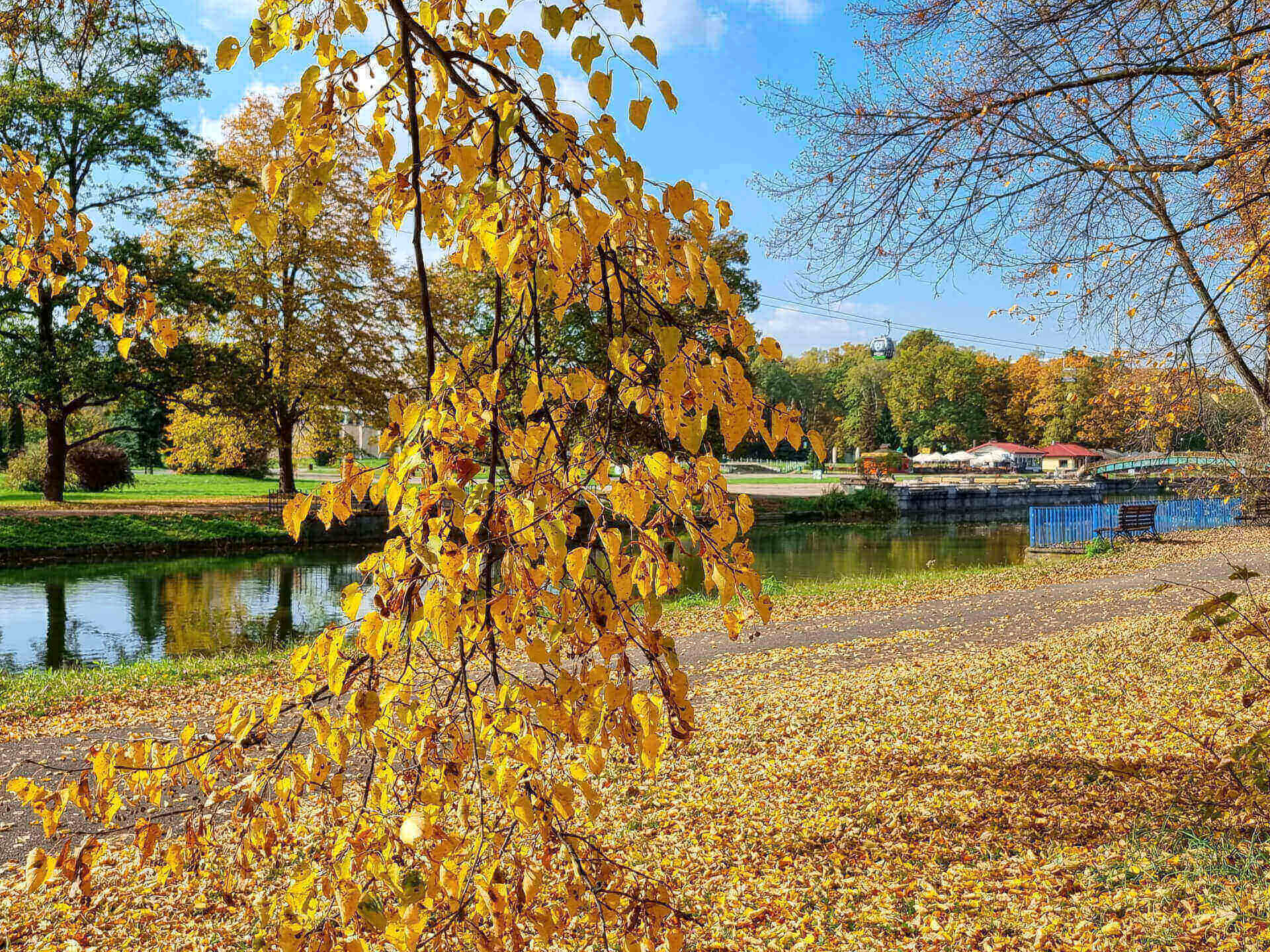 Park Śląski jesienią