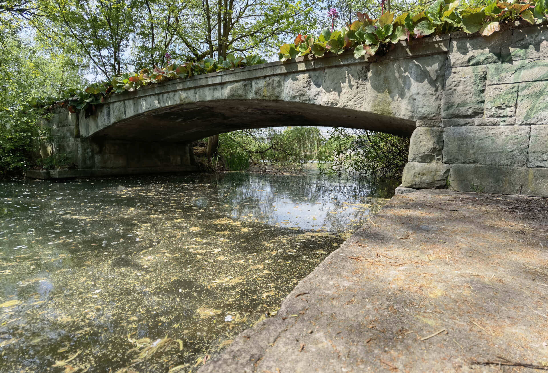 Park Śląski: przy Dużym Stawie