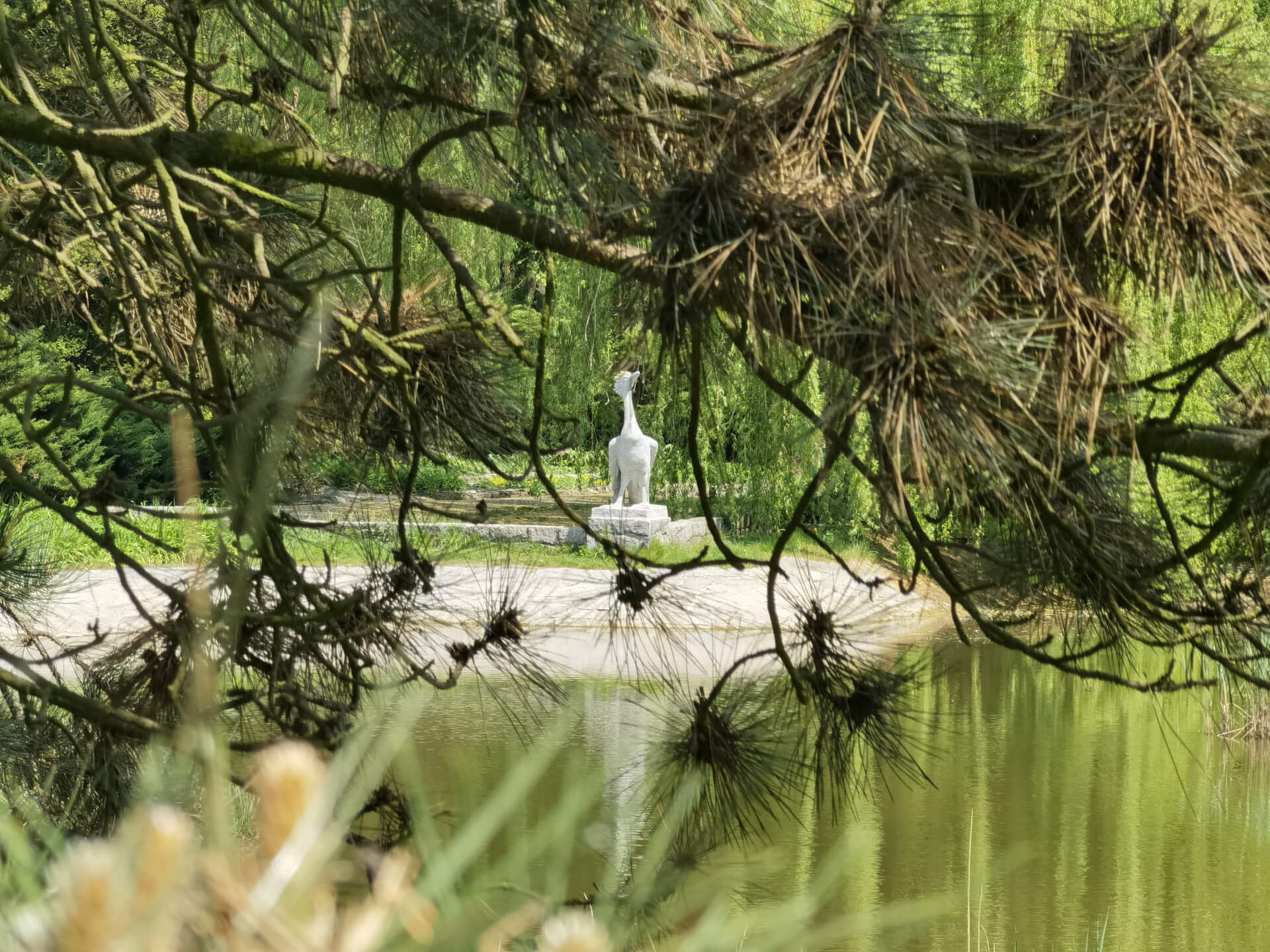 Park Śląski: staw Perkoz