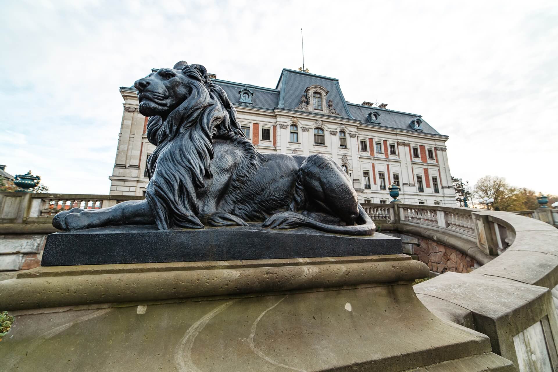 Rynek, park i zamek w Pszczynie