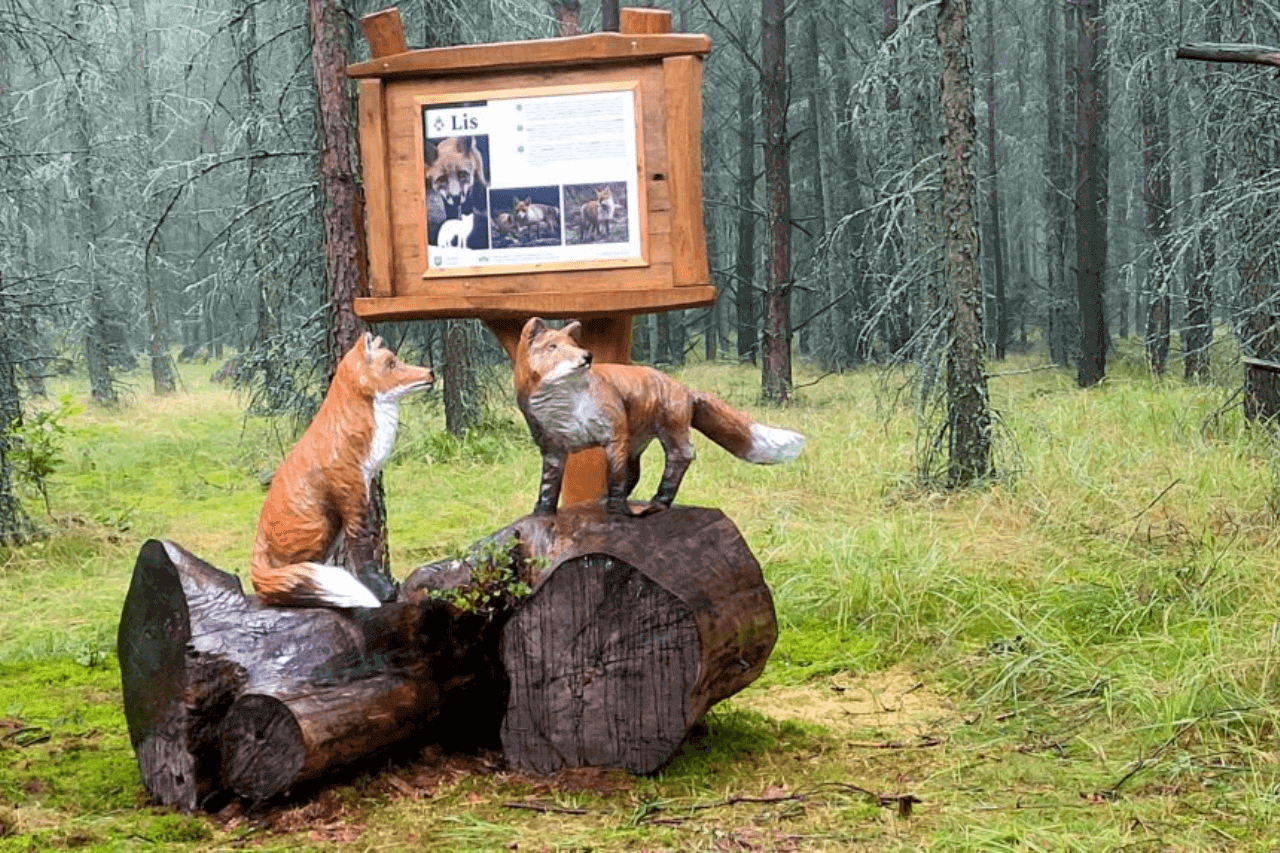 Rowerowe atrakcje w Kaletach