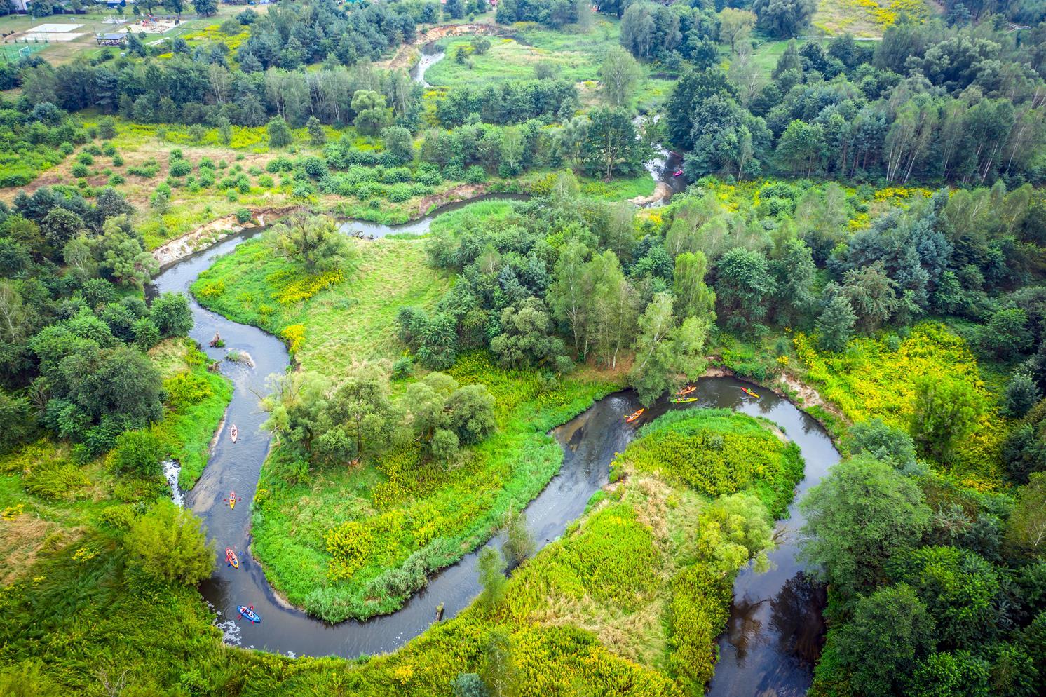 Spływ kajakowy rzeką Rudą