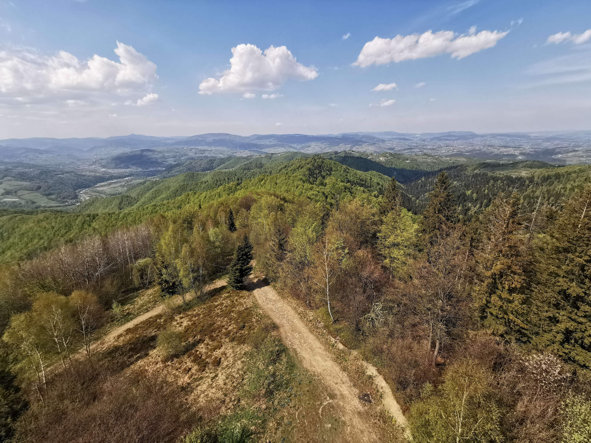 Widok z wieży na Koziarzu