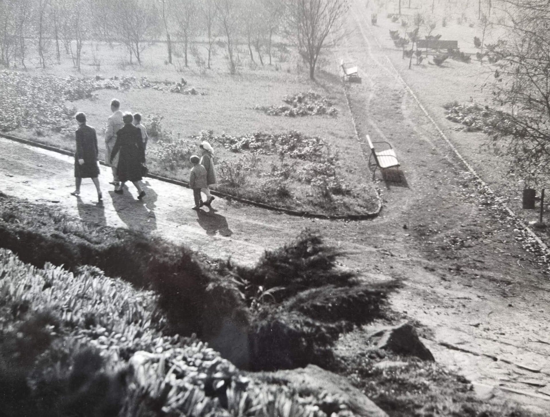 Wojewódzki Park Kultury i Wypoczynku, lata 50.