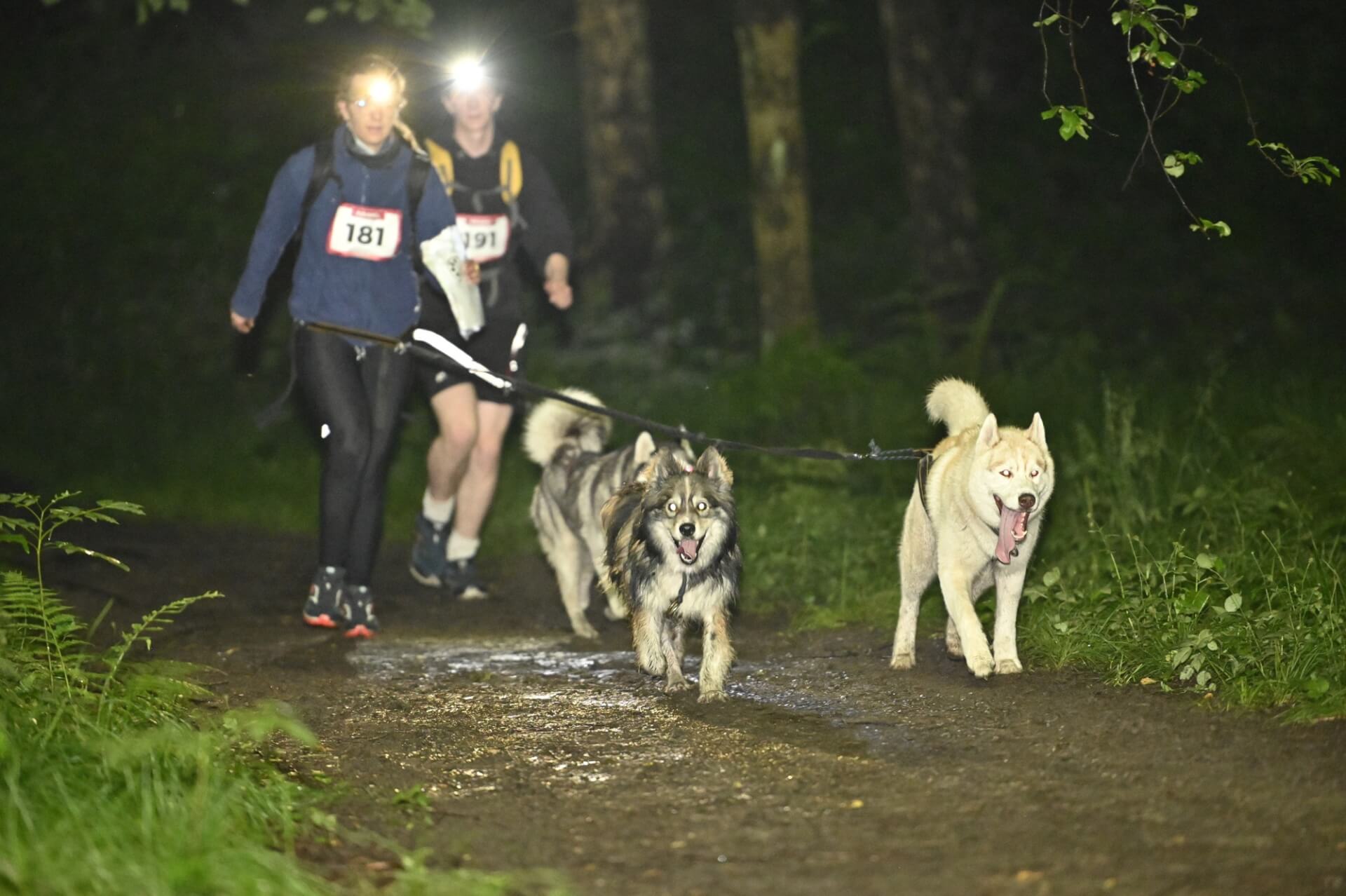 Dogtrekking park slaski 06