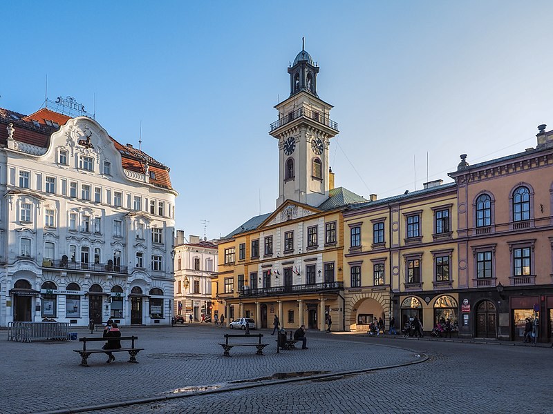 Historia cieszyna w jeden dzien aukcja WOSP 2