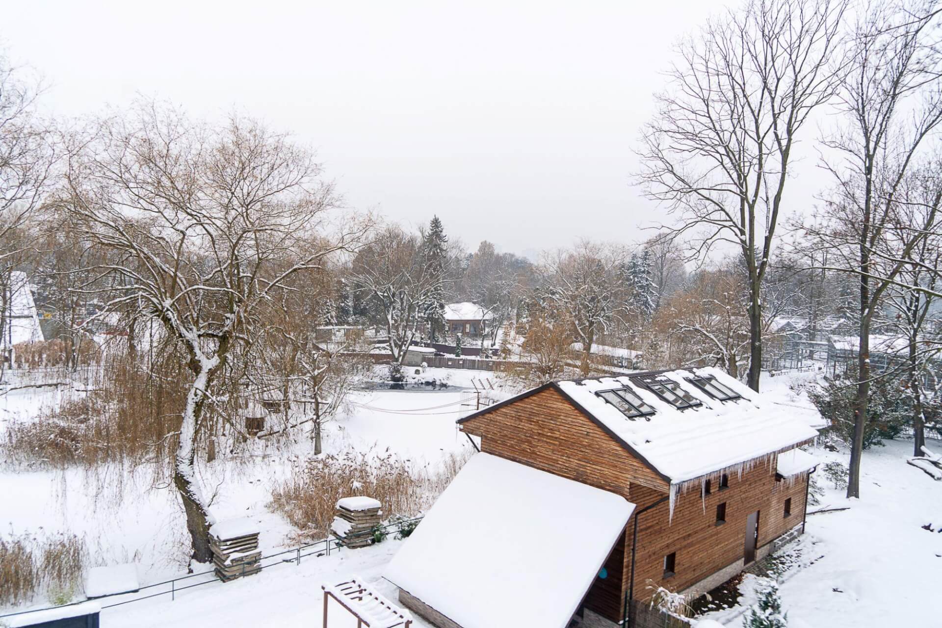 Kolejka elka 2 linia park slaski 18