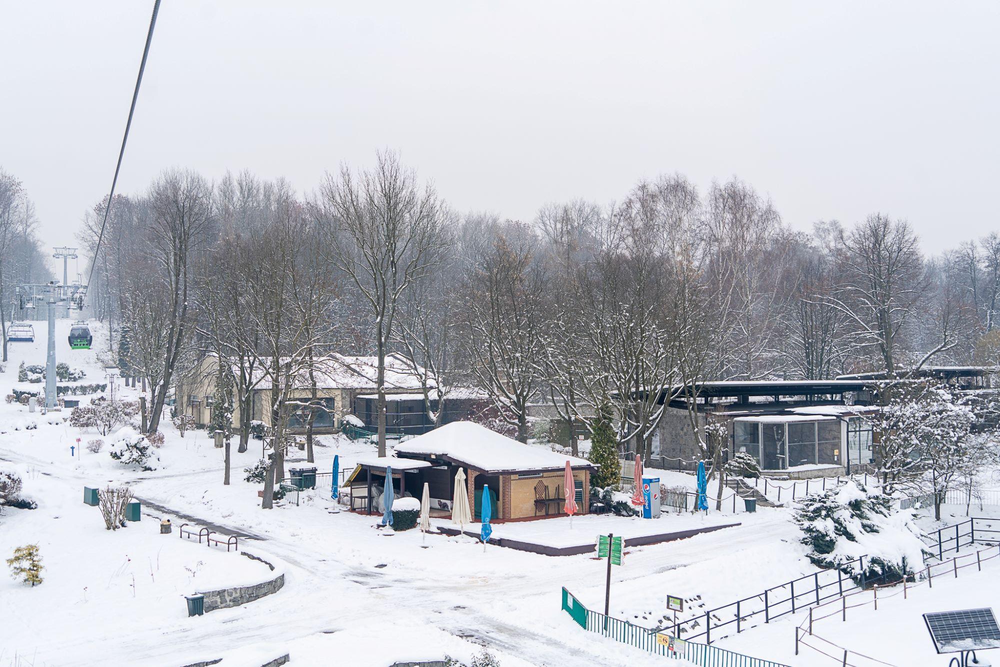 Kolejka elka 2 linia park slaski 20