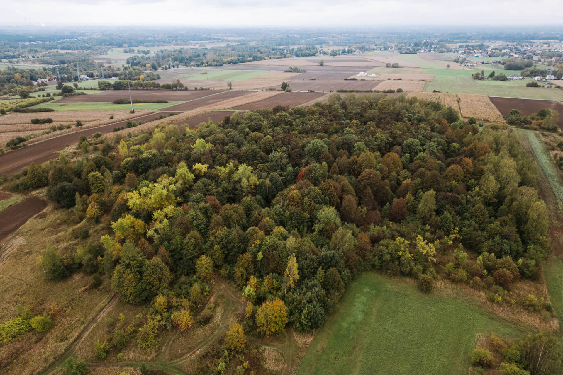 Smutna Góra w Chełmie Śląskim