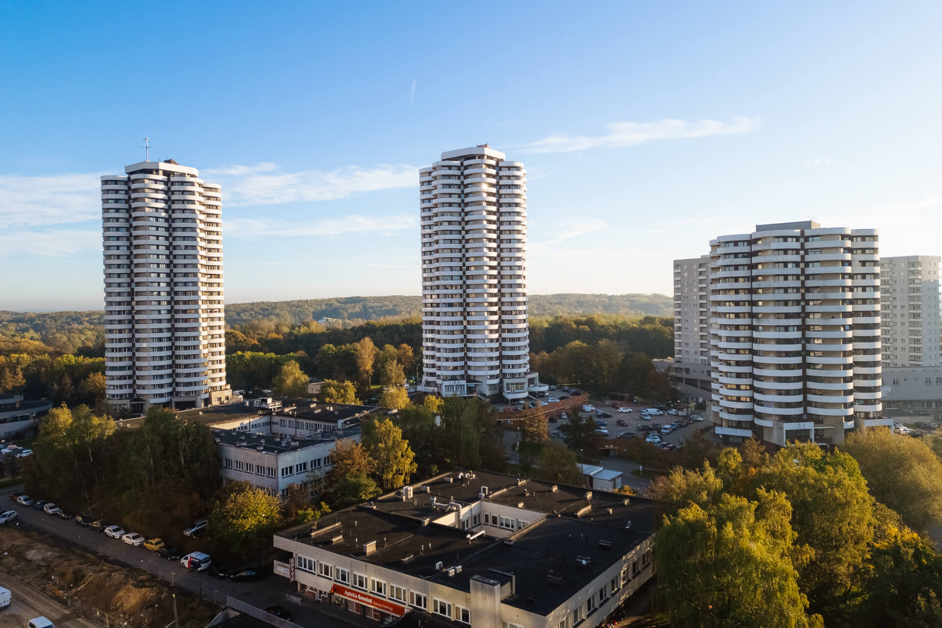 Kukurydze na osiedlu Tysiąclecia w Katowicach