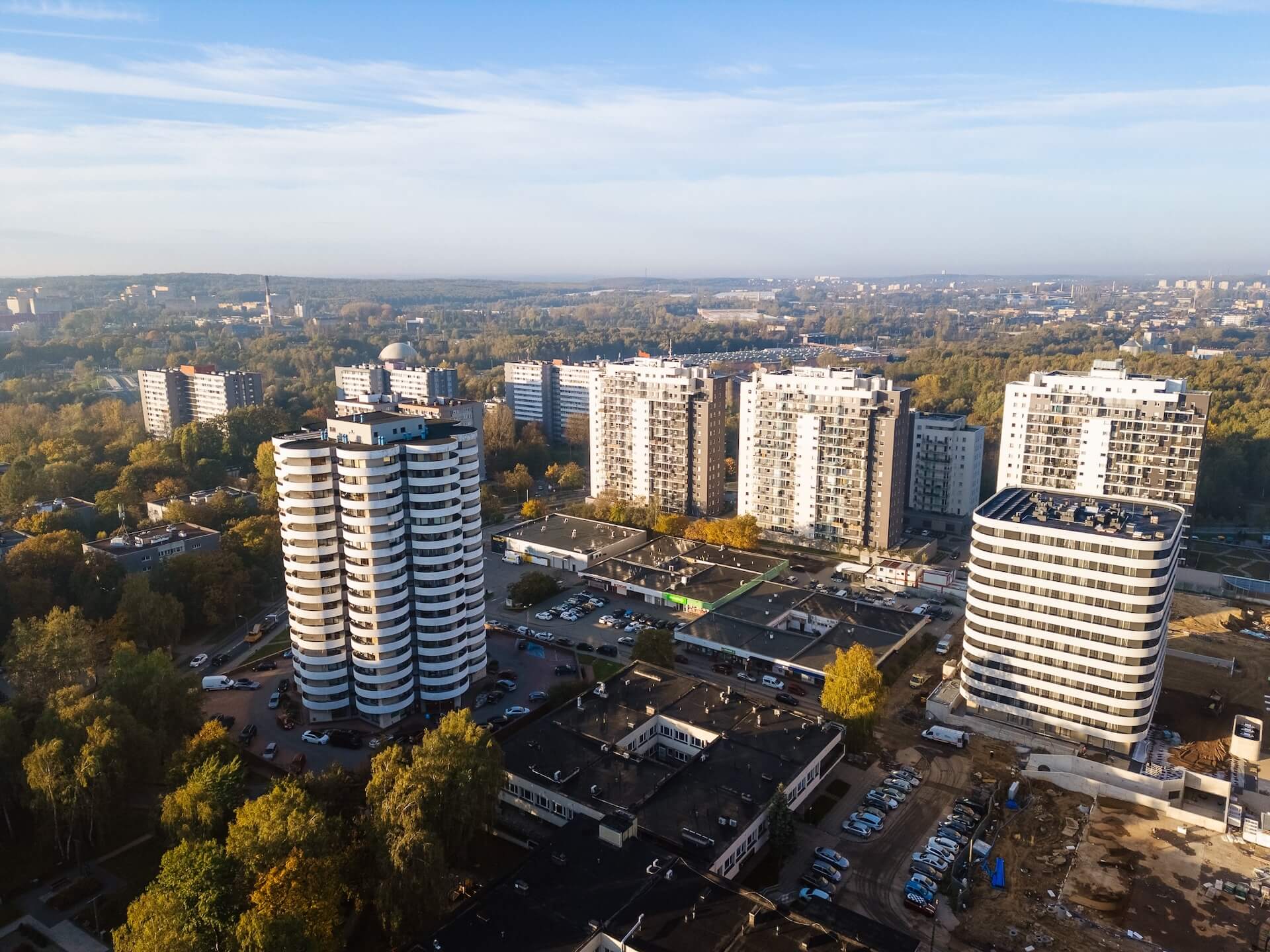 Kukurydze na osiedlu Tysiąclecia w Katowicach