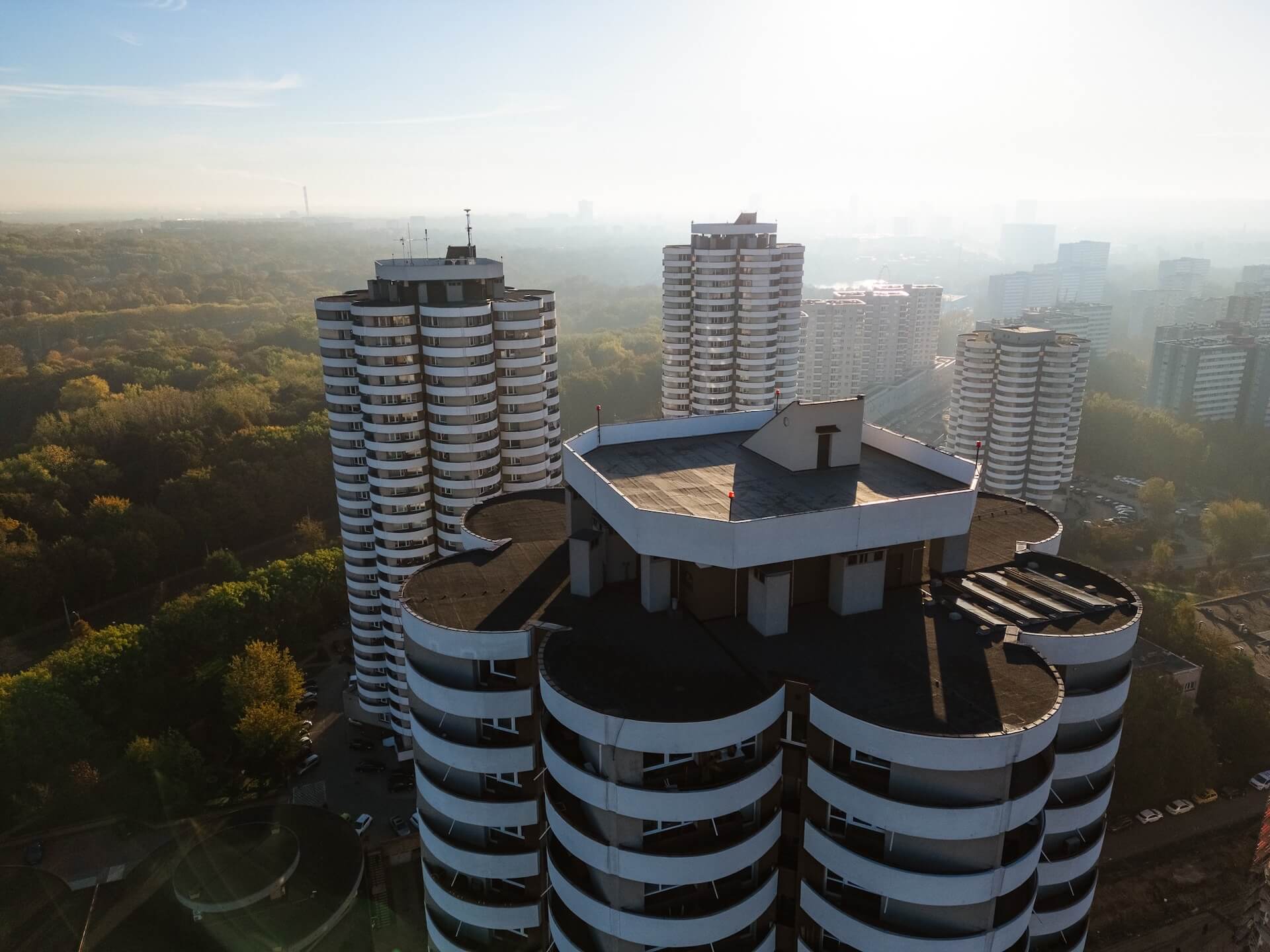 Kukurydze na osiedlu Tysiąclecia w Katowicach