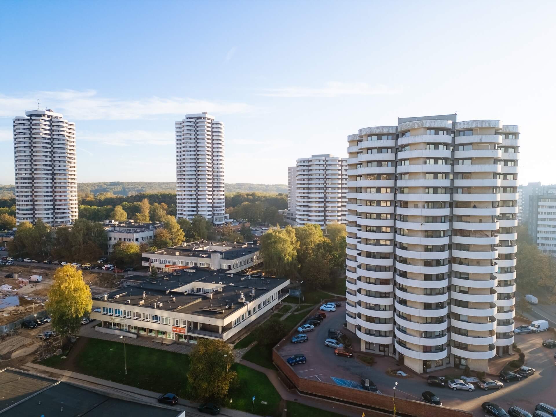 Kukurydze na osiedlu Tysiąclecia w Katowicach