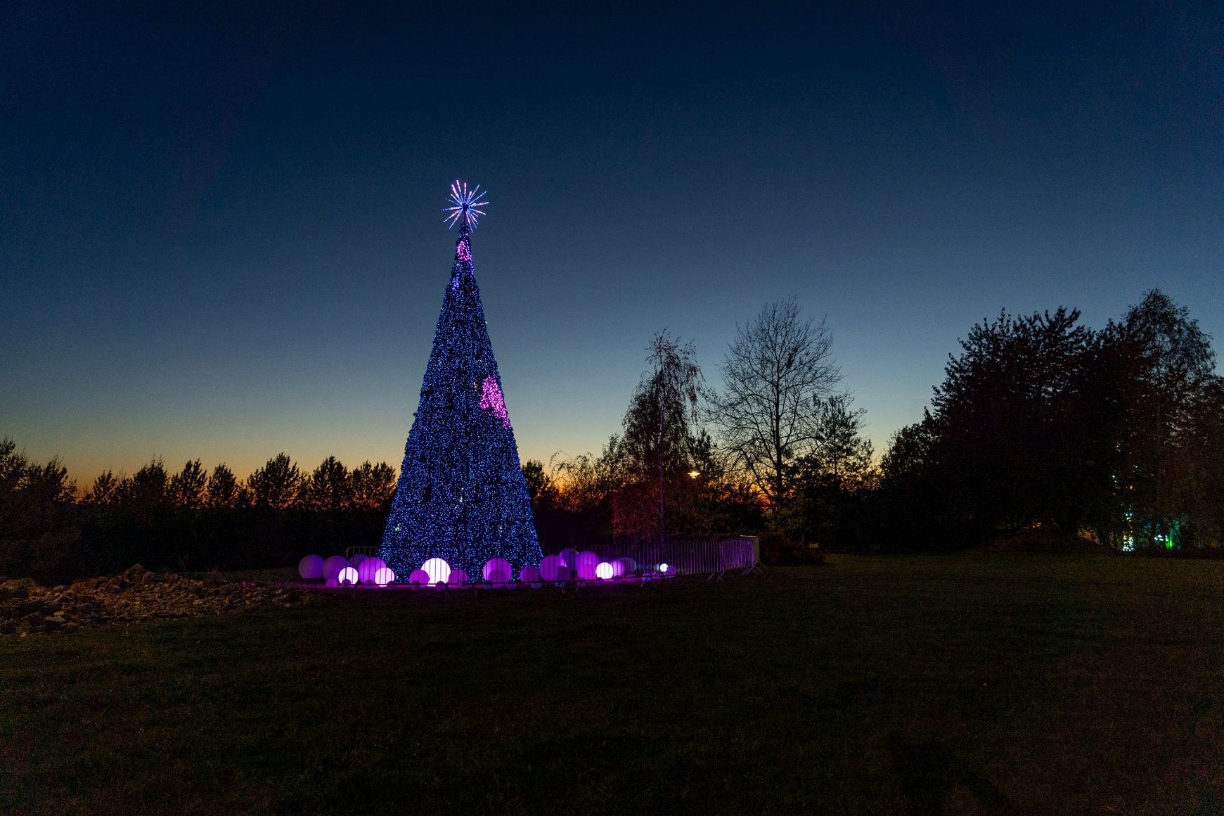 Garden of Lights