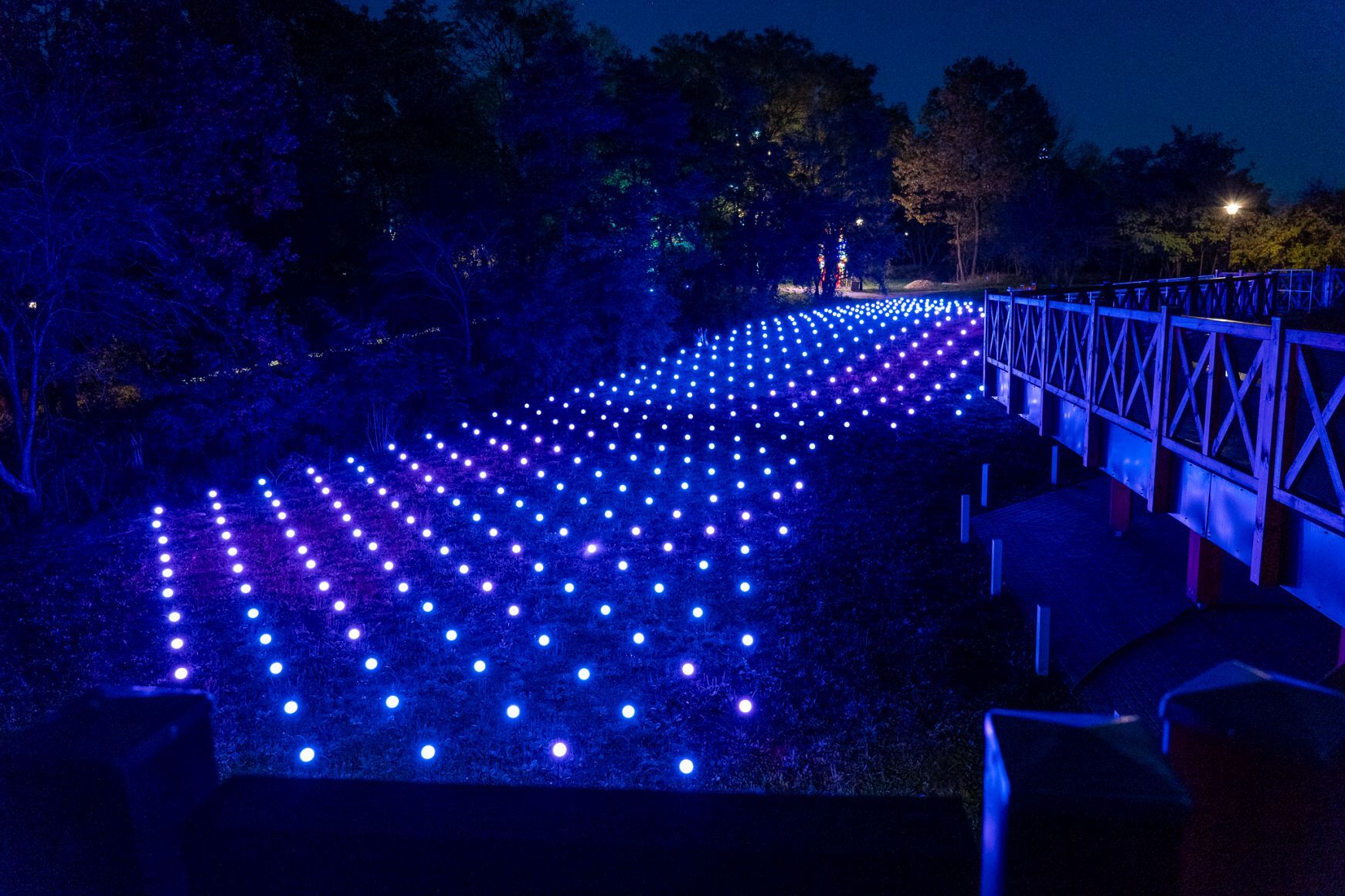 Garden of Lights