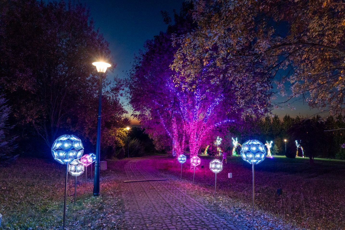 Garden of Lights