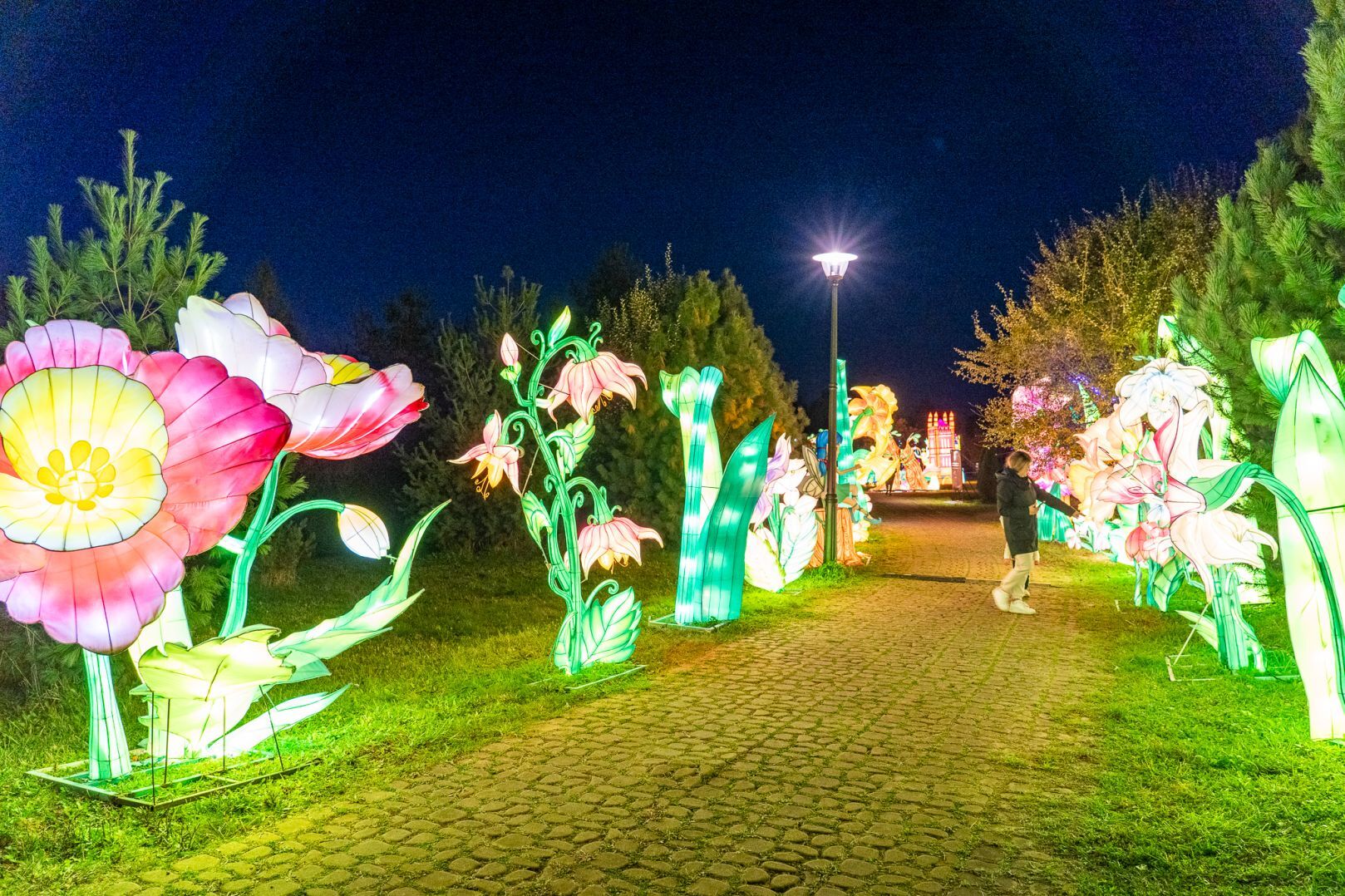 Garden of Lights