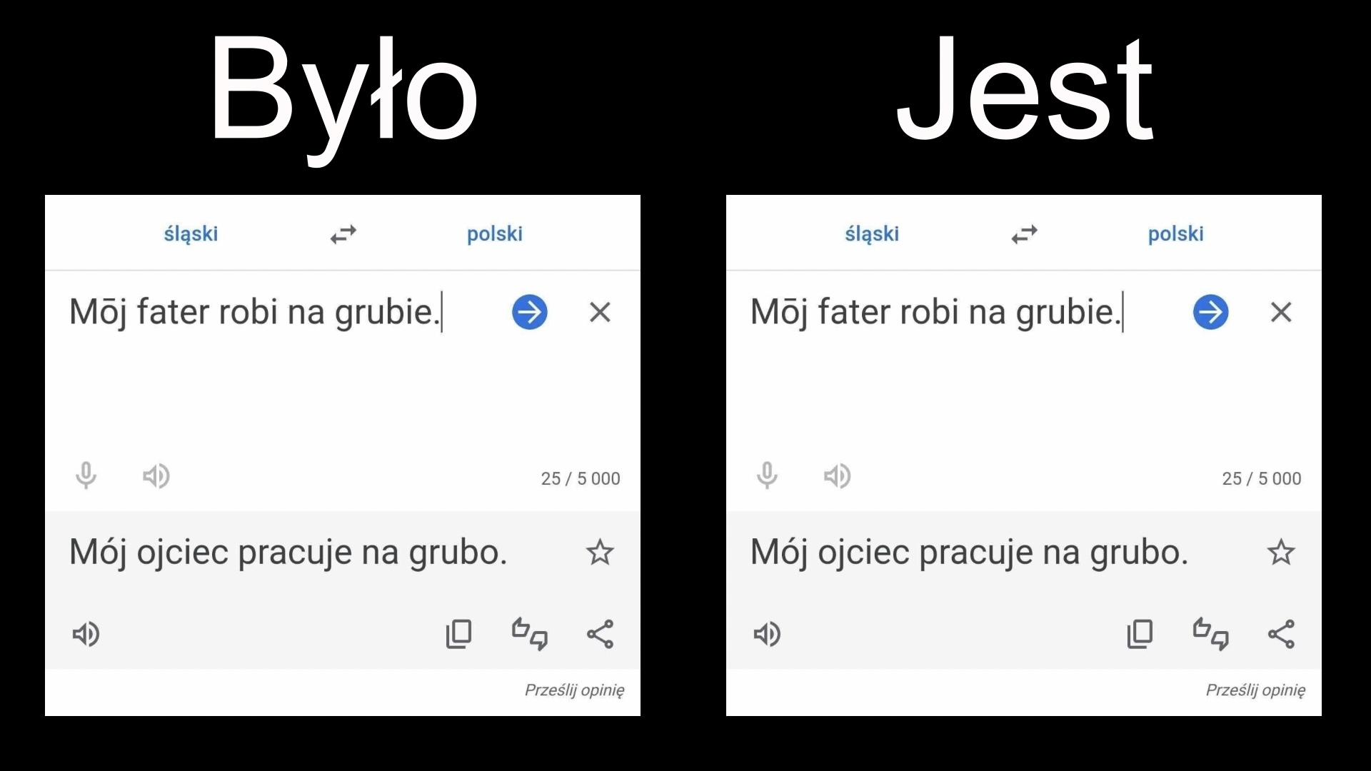 Slaski tlumacz google