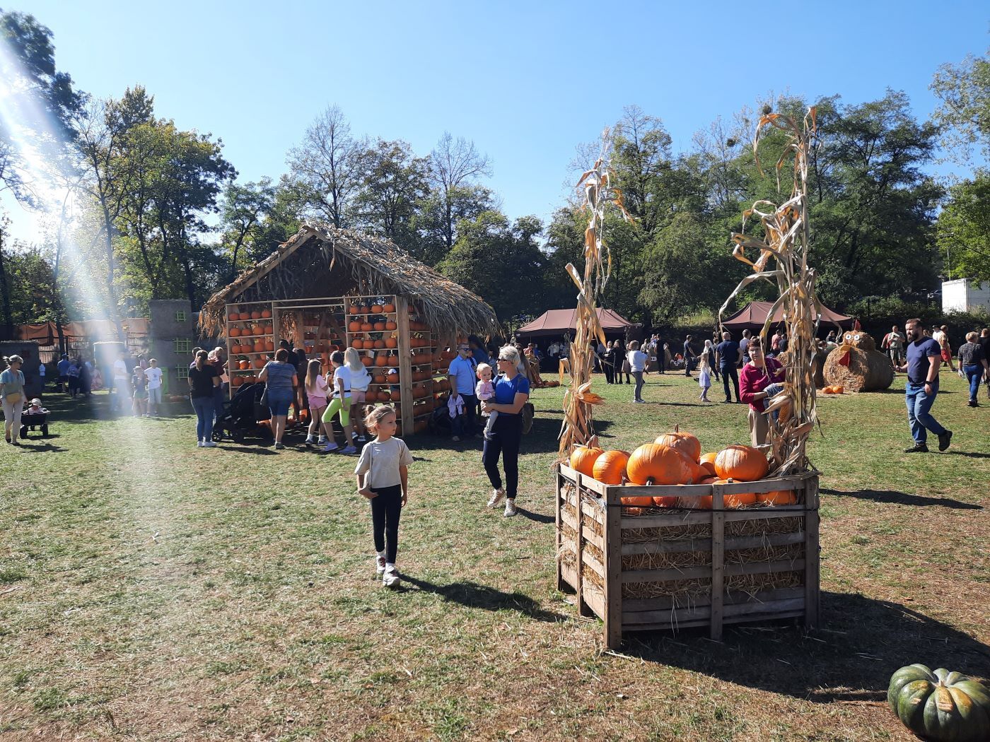 Farma Dyniowa Ruda Śląska