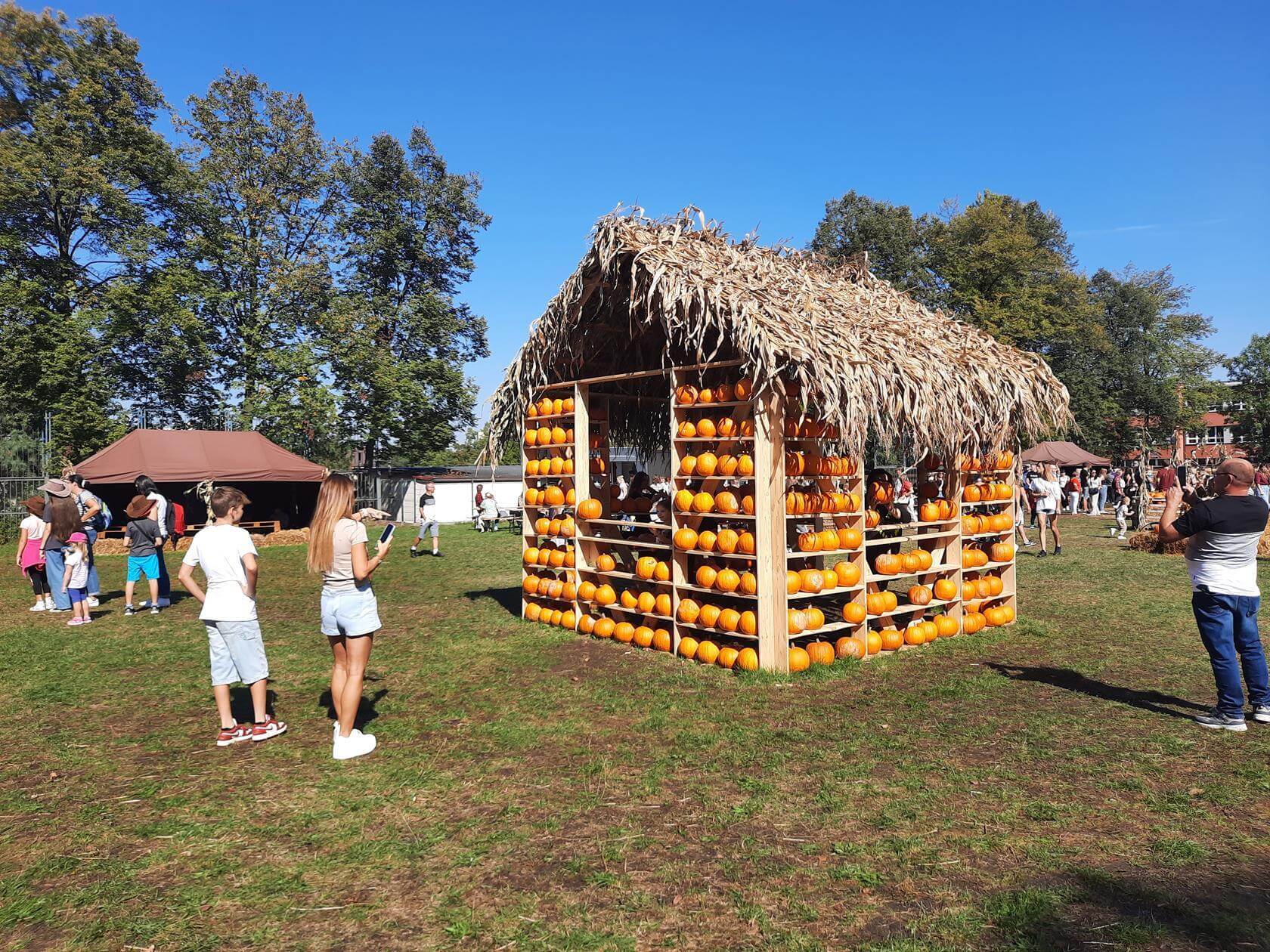 Farma Dyniowa Ruda Śląska