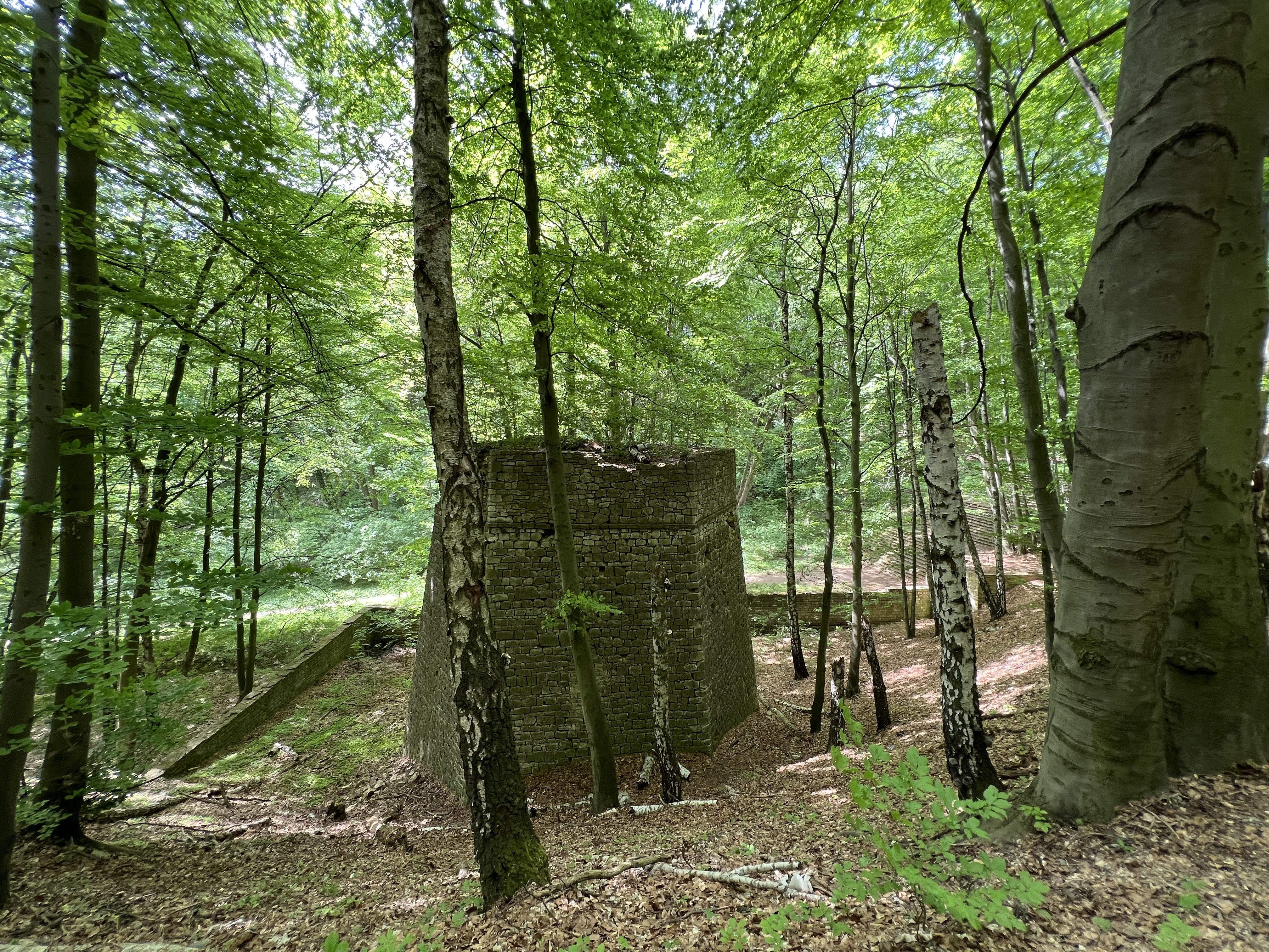 Na Górze św. Anny jest Park Krajobrazowy Góra św. Anny i rezerwat