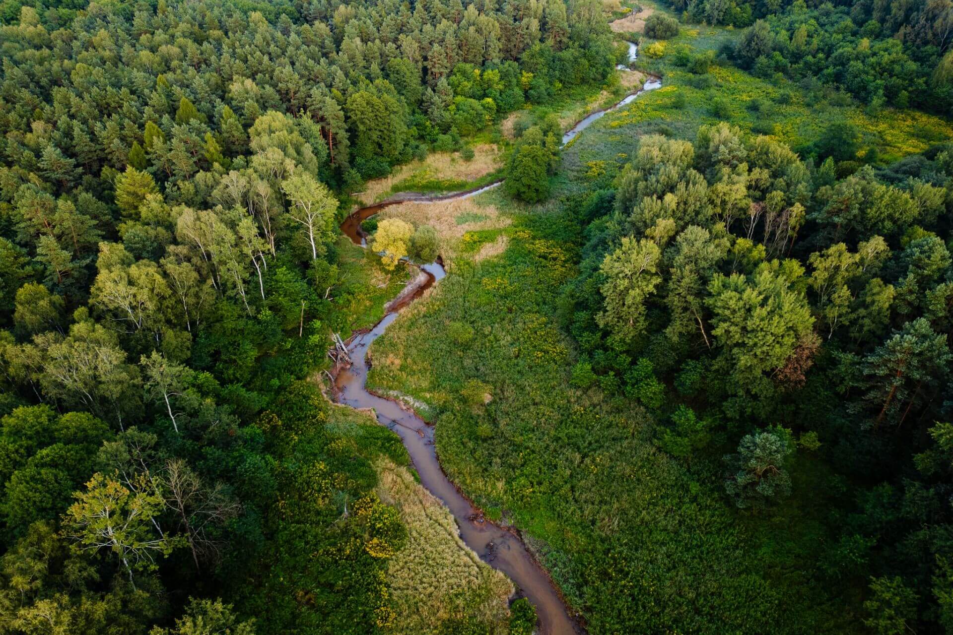 Meandry Kłodnicy