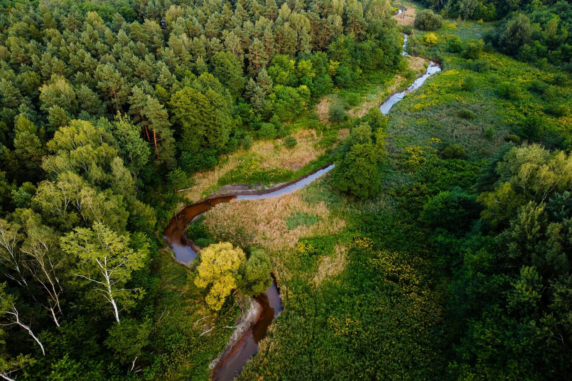 Meandry Kłodnicy