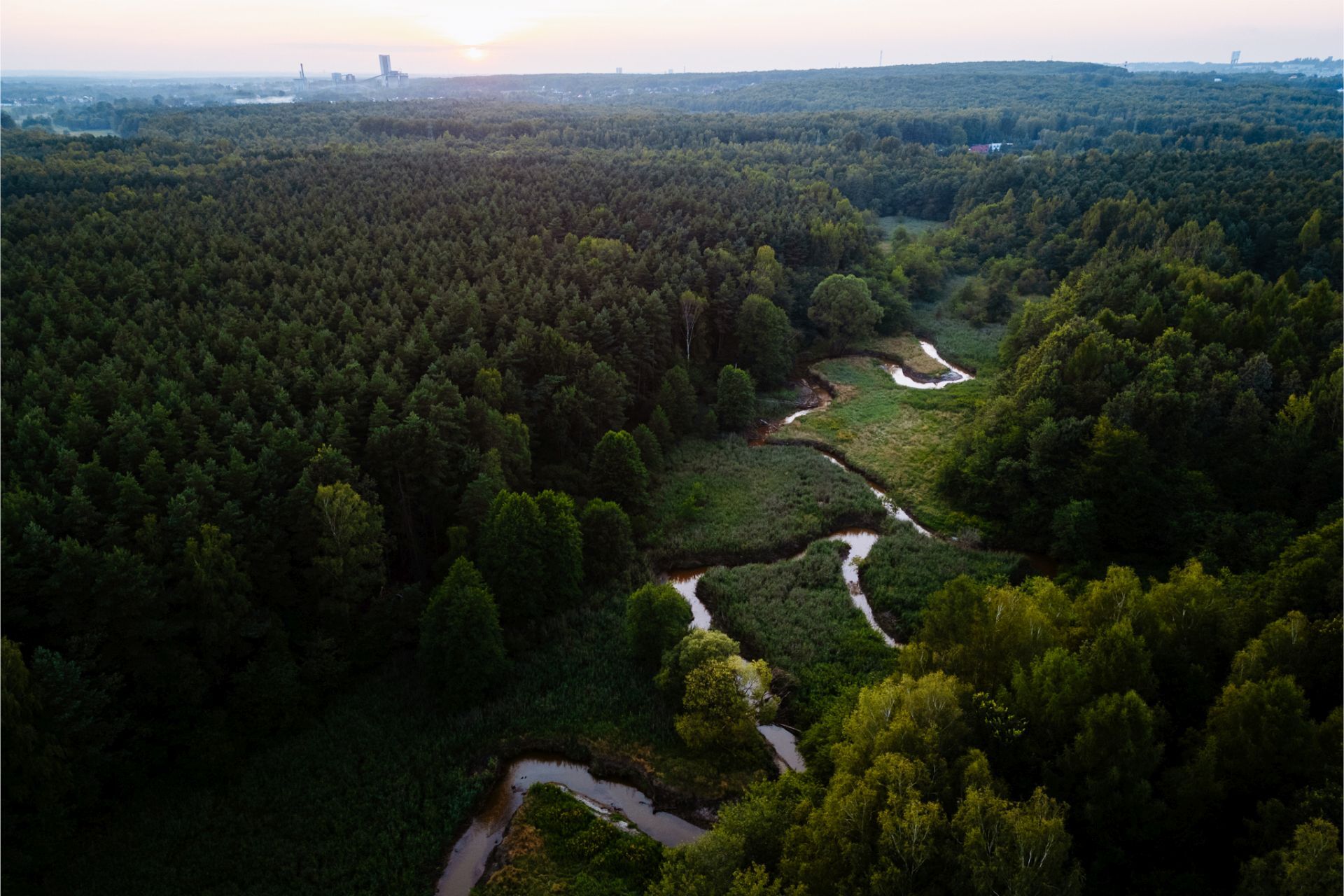 Meandry Kłodnicy