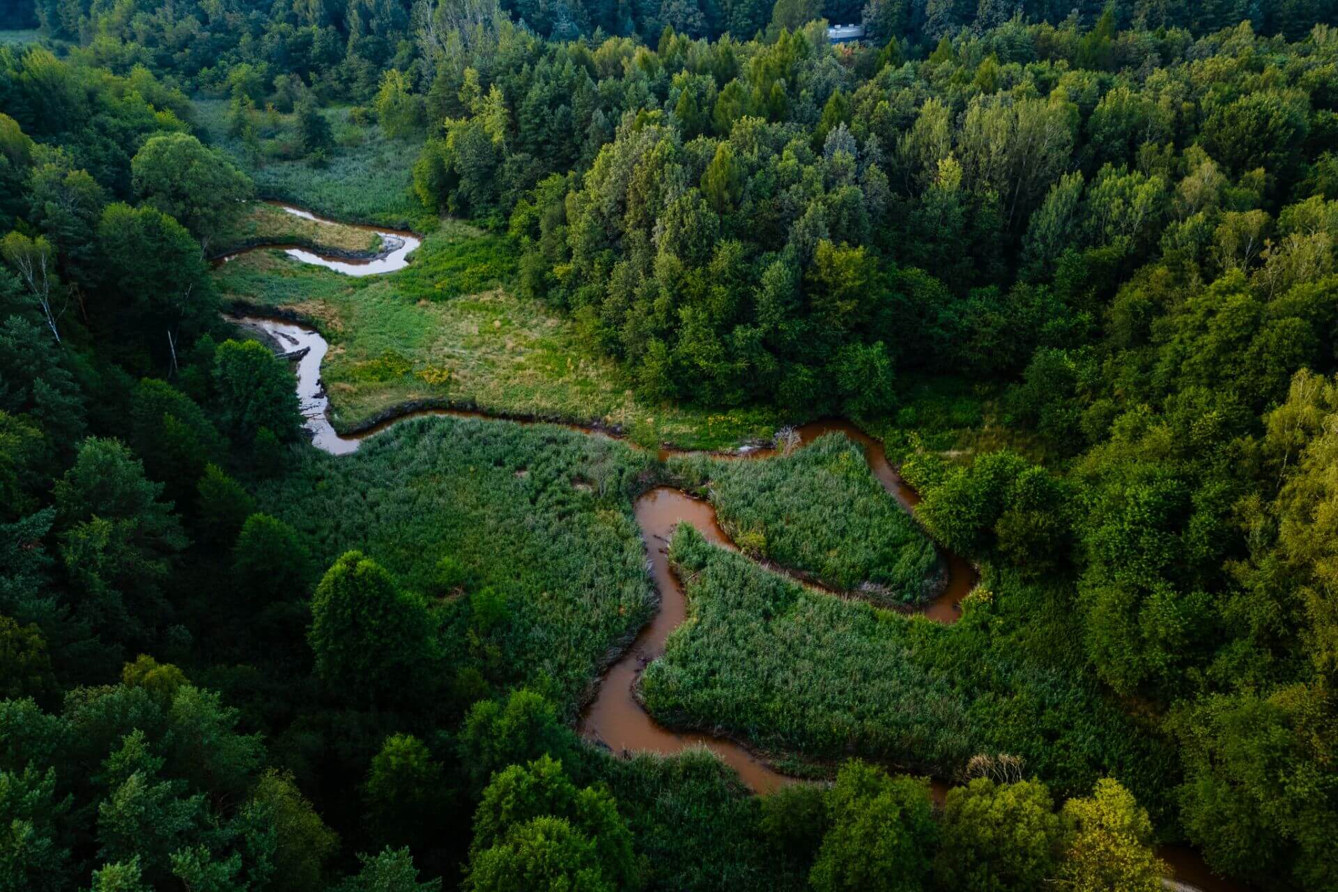 Meandry Kłodnicy