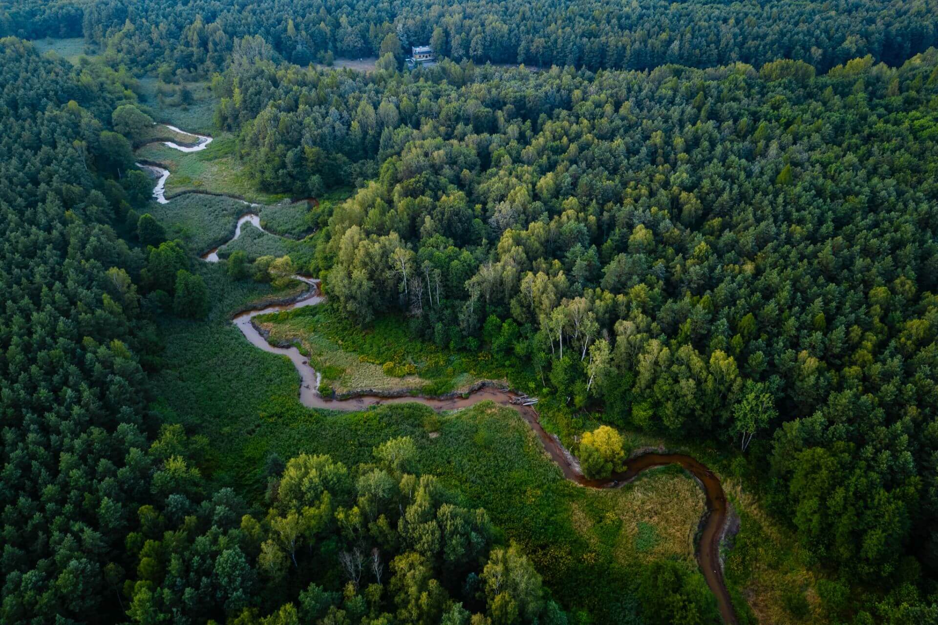 Meandry Kłodnicy